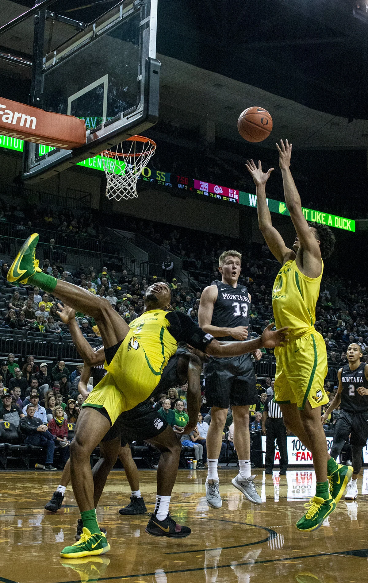  University of Oregon Ducks Francis Okoro (#33) falls backwards as University of Oregon Ducks Kyle Owens (#0) jumps to grab a rebound ball. The University of Oregon Ducks defeated the University of Montana Grizzlies with a convincing score of 81 – 48