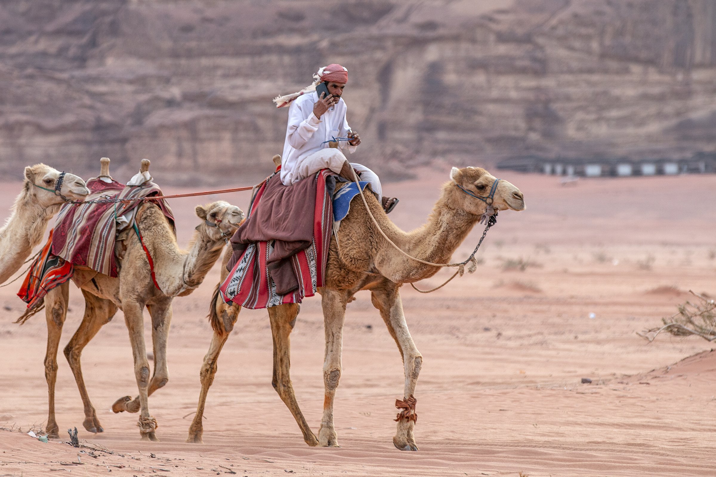  A Bedouin tribesman riding a camel through Wadi Rum while making a call on his smartphone. 