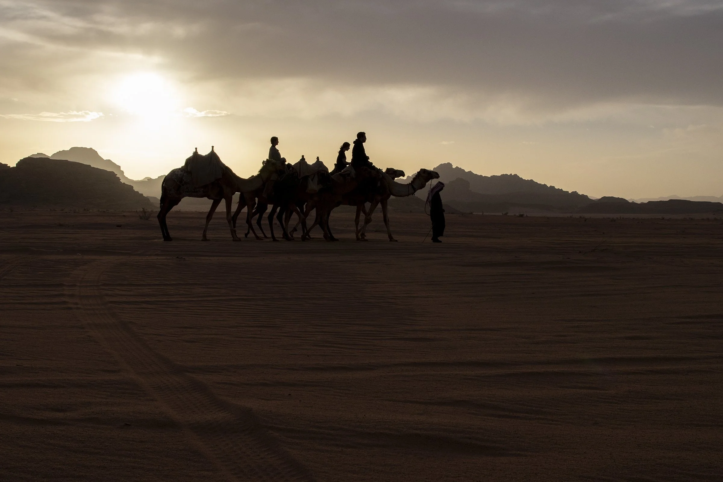  A tourist group riding camels lead by Bedouin tribesman Nayef at sunset in Wadi Rum. 
