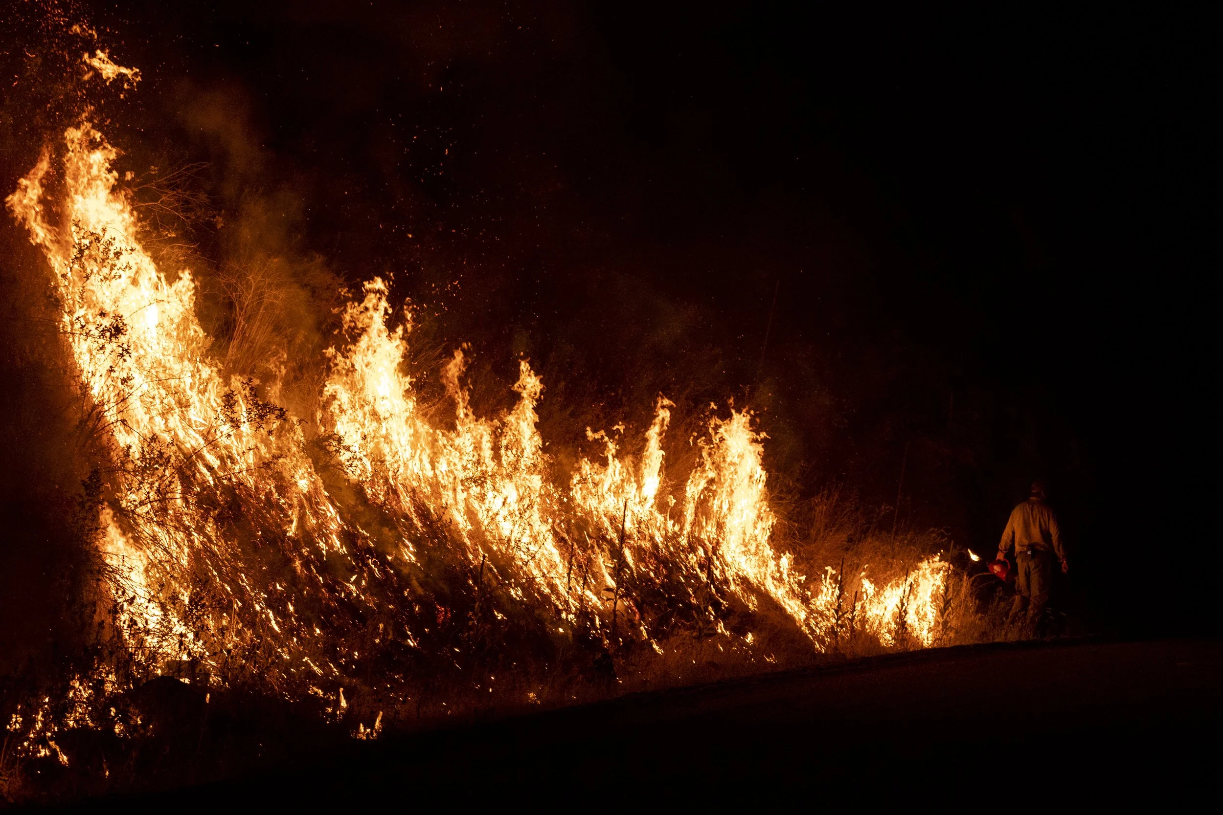  A wildland firefighter uses a drip torch to burn a hillside during a backburn operation. 