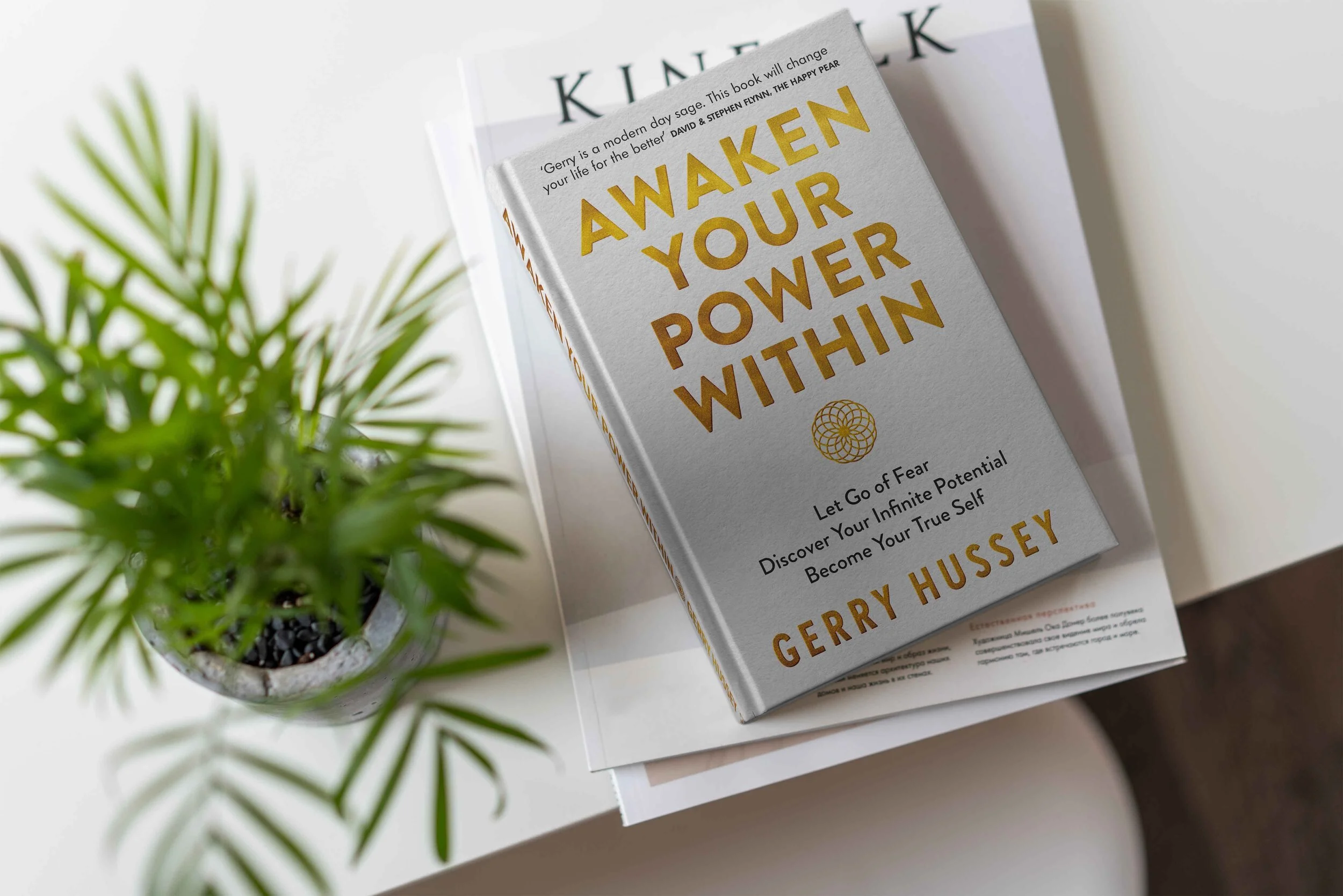Awaken Gerry Hussey.jpg