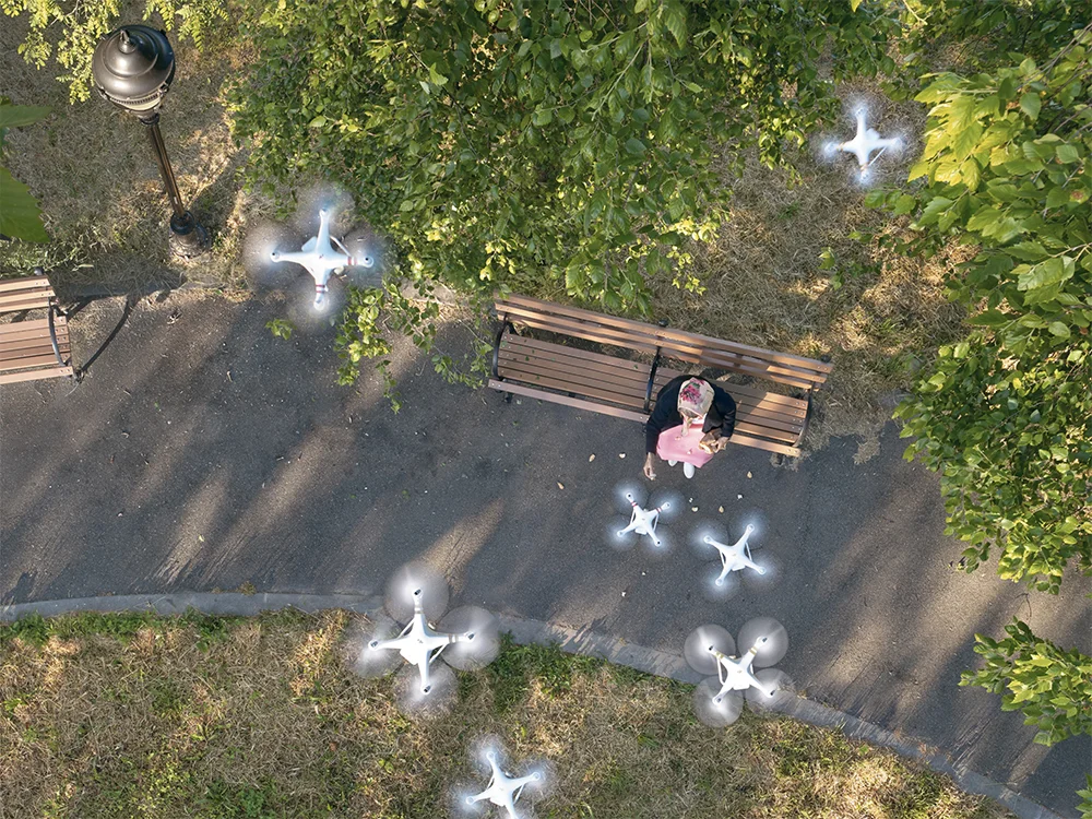 Don’t Feed the Birds, 2018