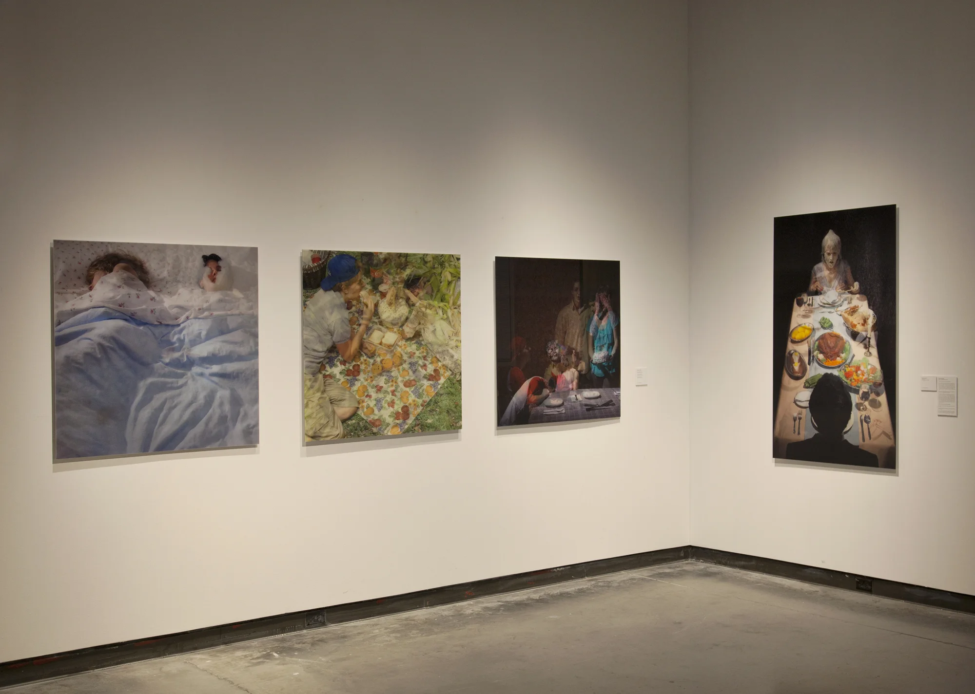 Installation at Delaware Center for the Contemporary Arts, 2013