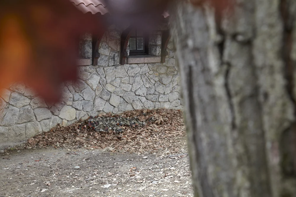  Fall, 2013 