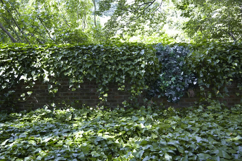  Overgrown, 2013 