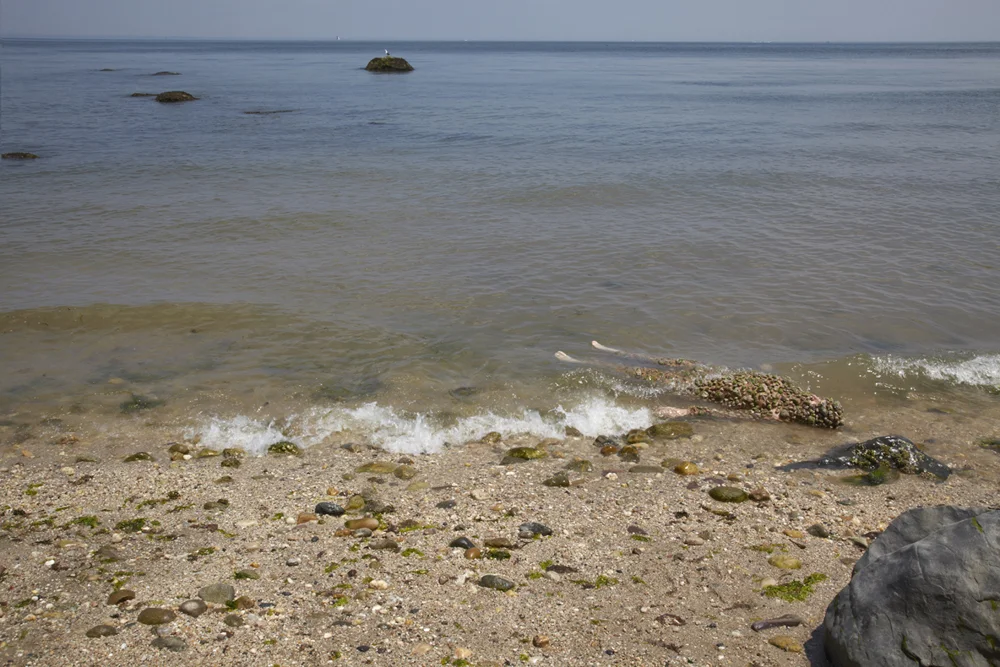  Washed Up, 2013 