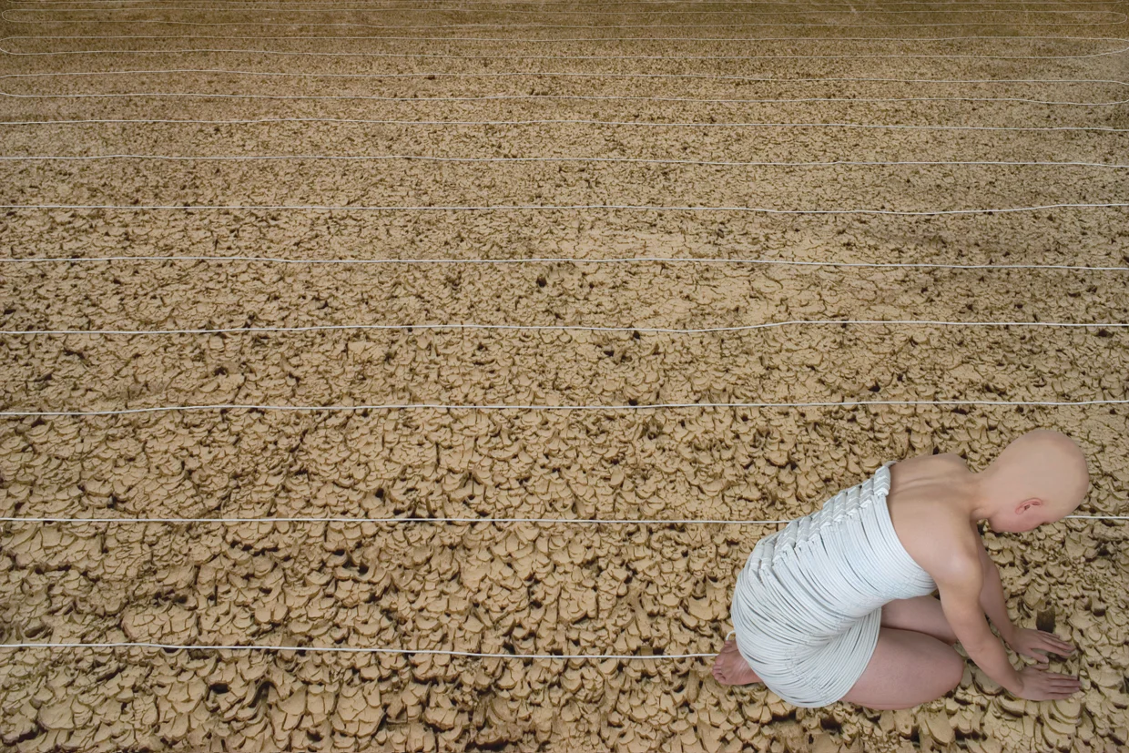  Harvest, 2007 