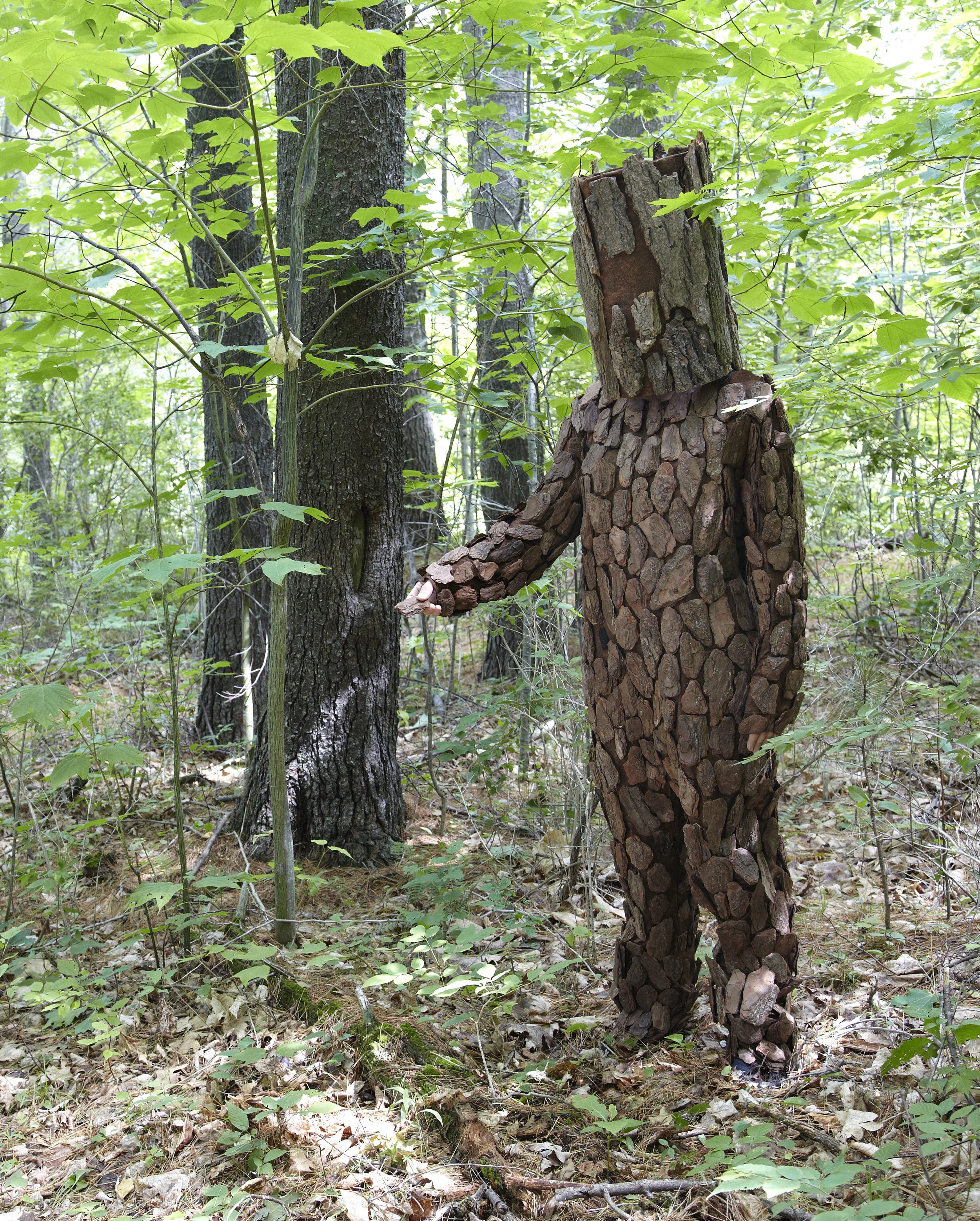 Semblance performance, pine tree character