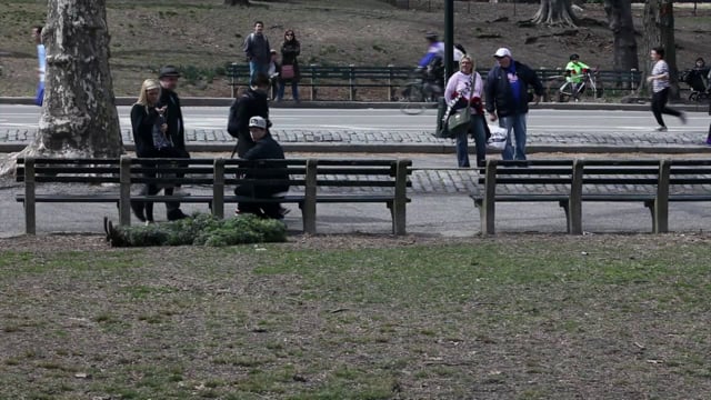 Central Park ‘Semblance’ Grass Performance (selected clips from 45 minute performance)