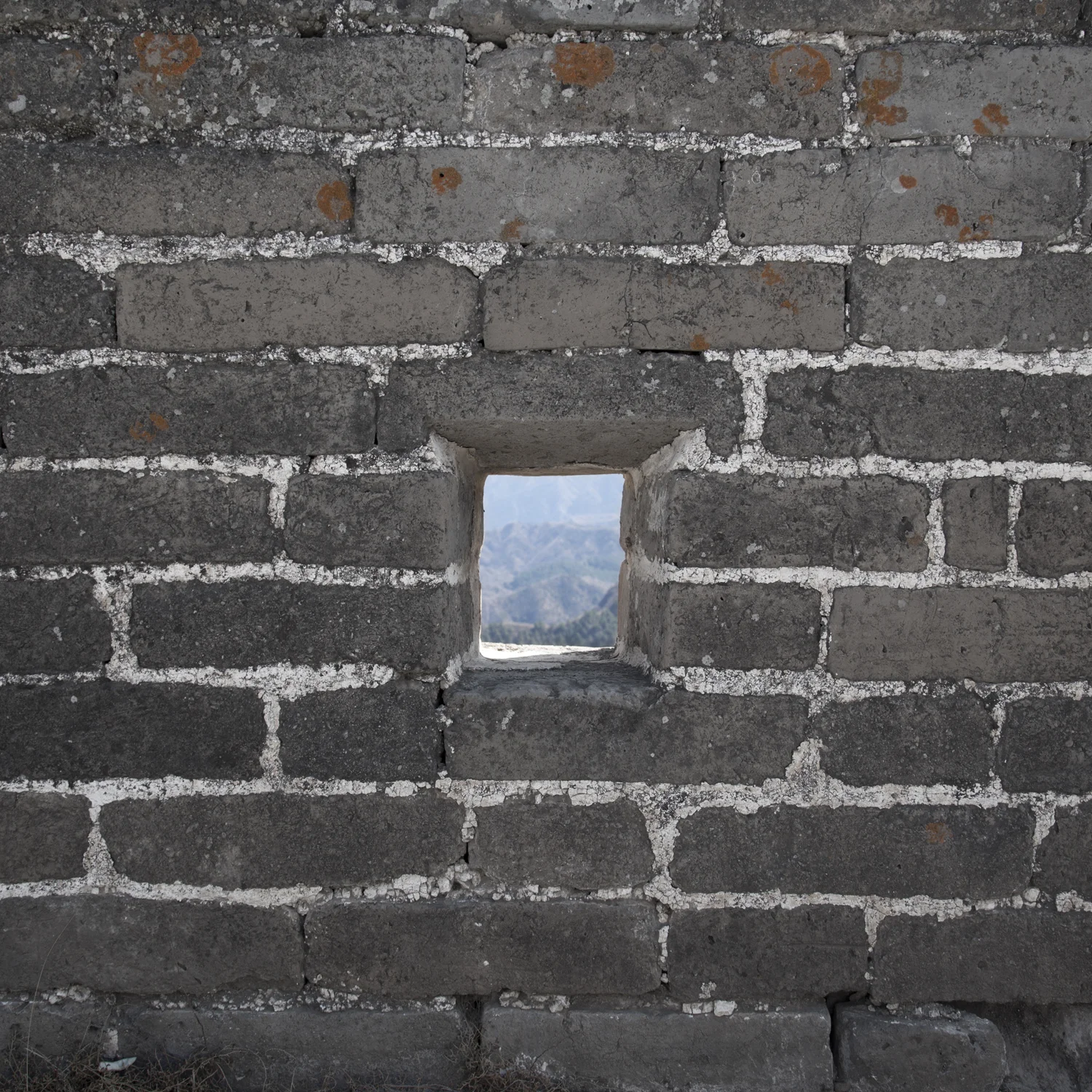  Window #3, 2011 