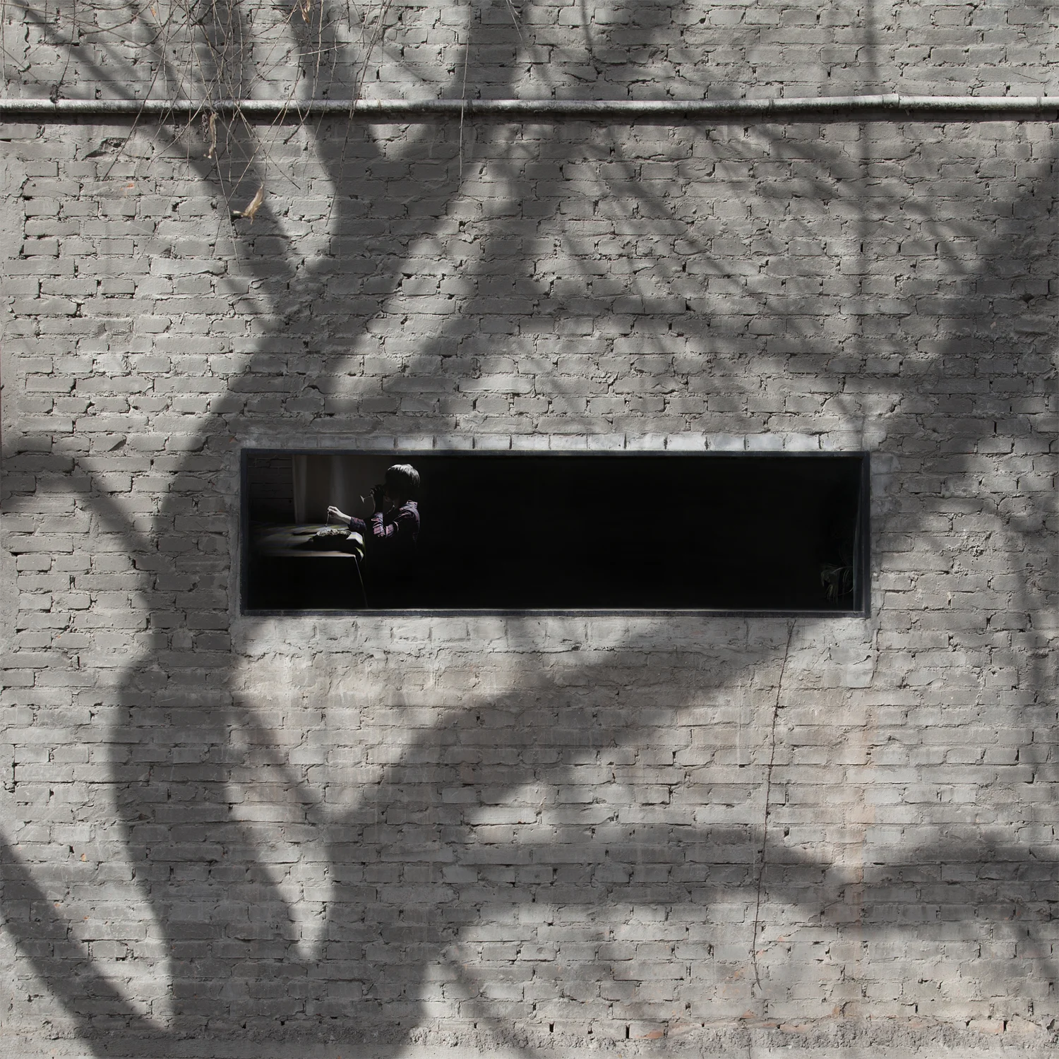  Window #14, 2011 