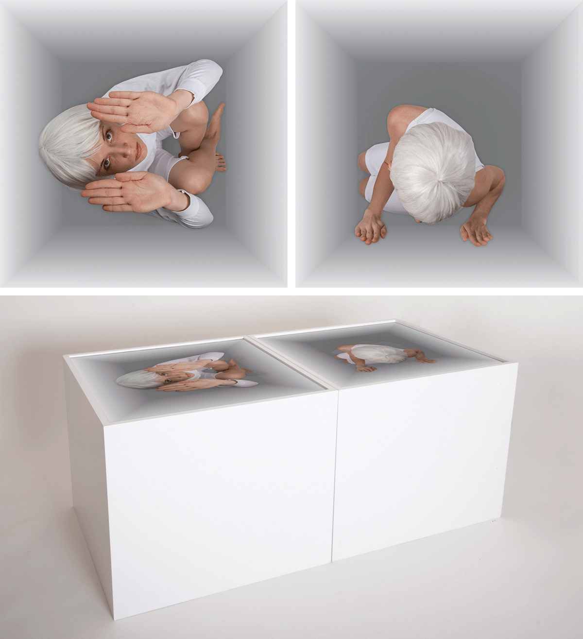 Synergy, 2009
