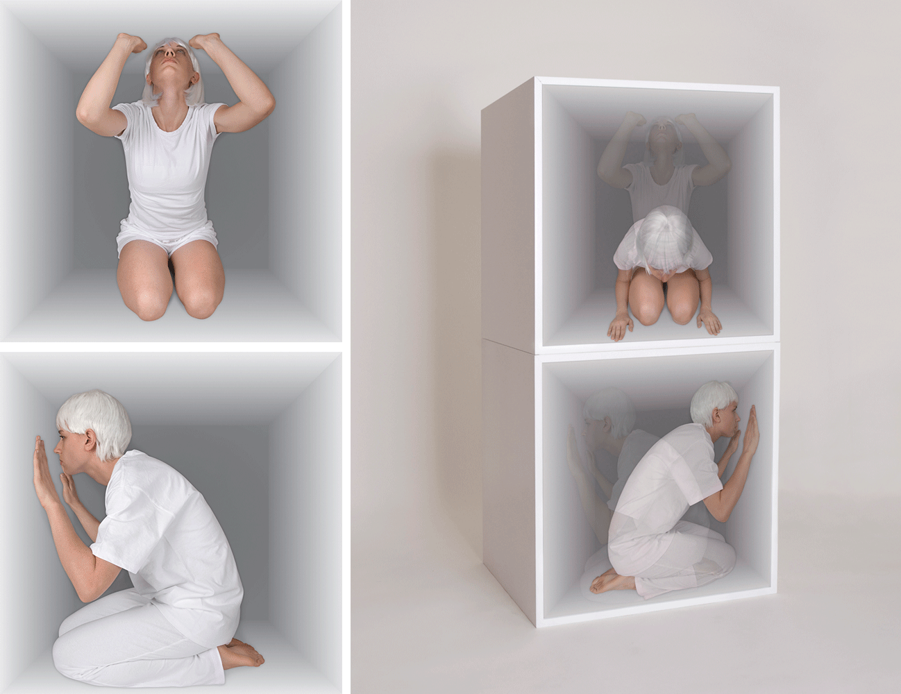 Reflex, 2009