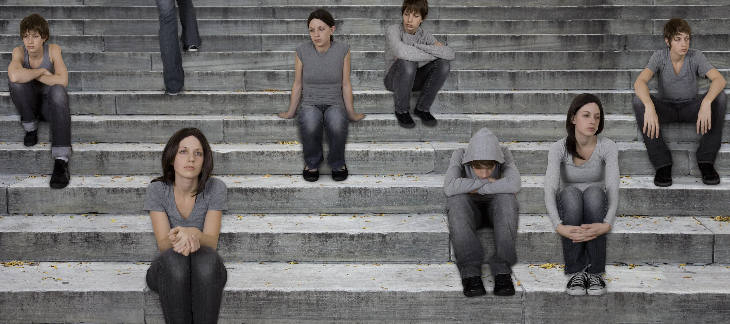 Interim, 2009