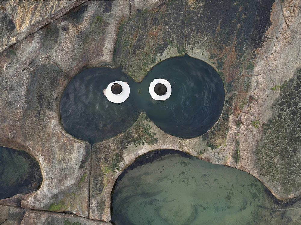 Googly Earth, 2018