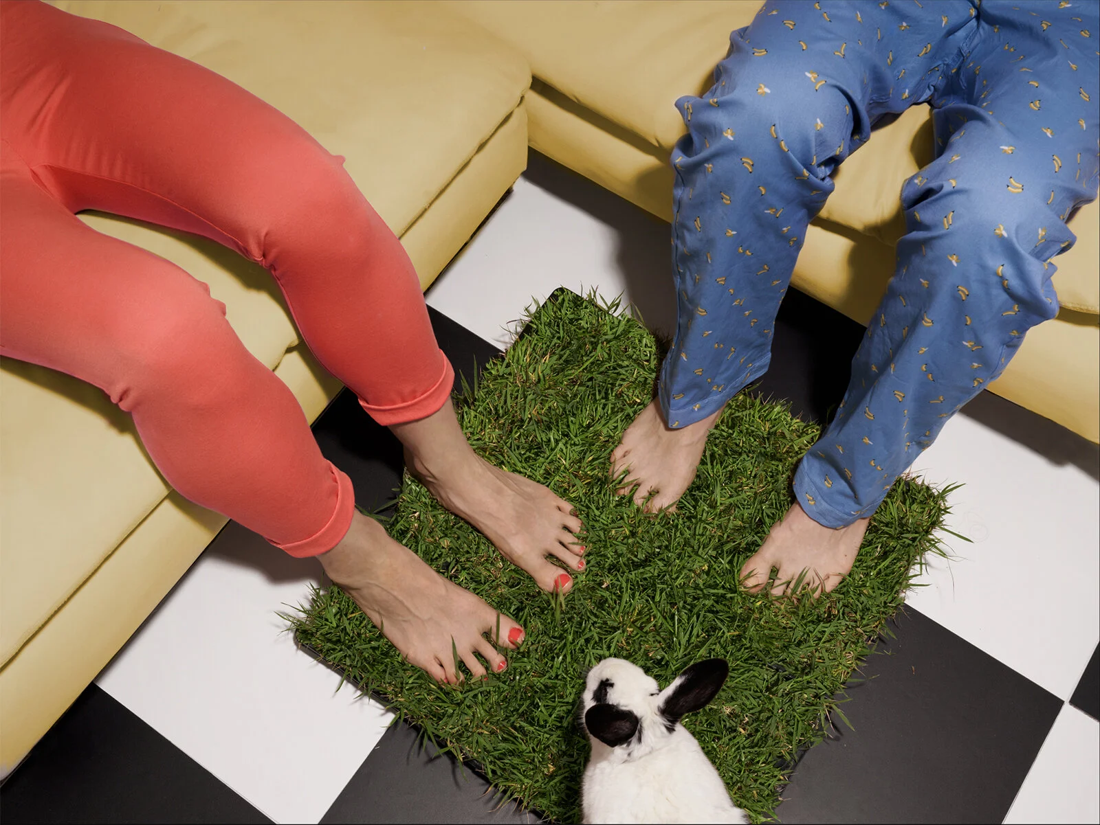 Patch of Grass, 2020