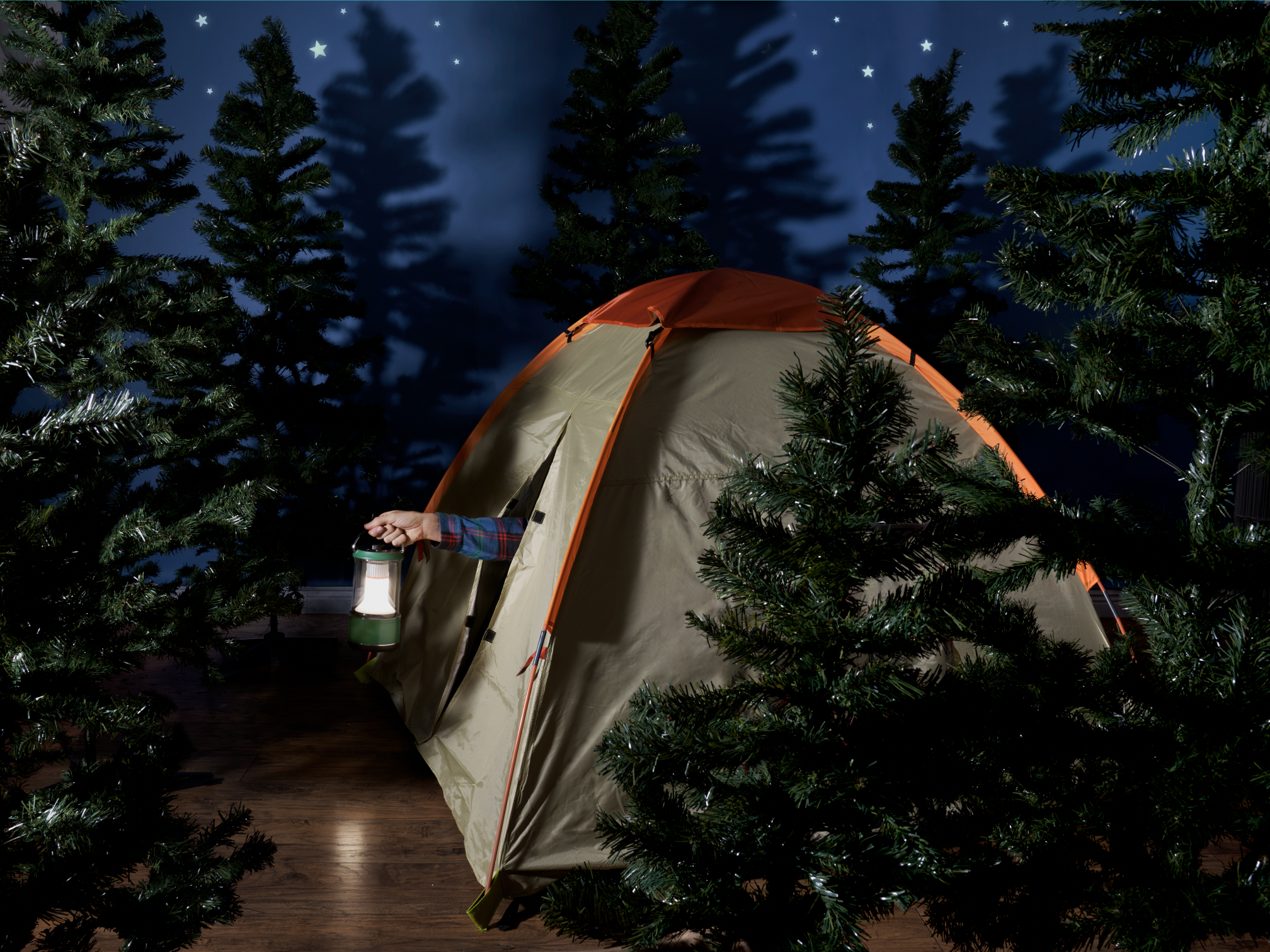  In the Thicket, 2021 