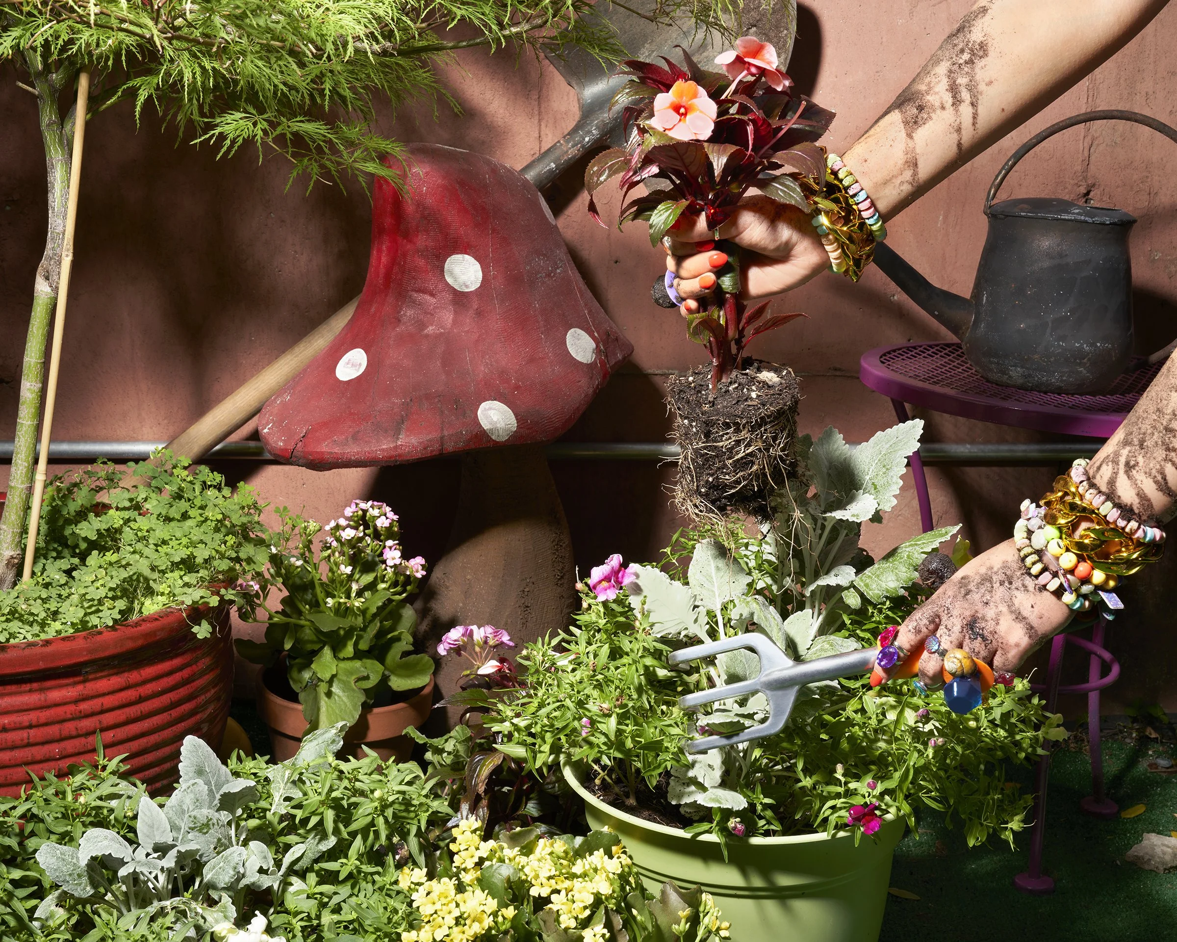 Garden.jpg