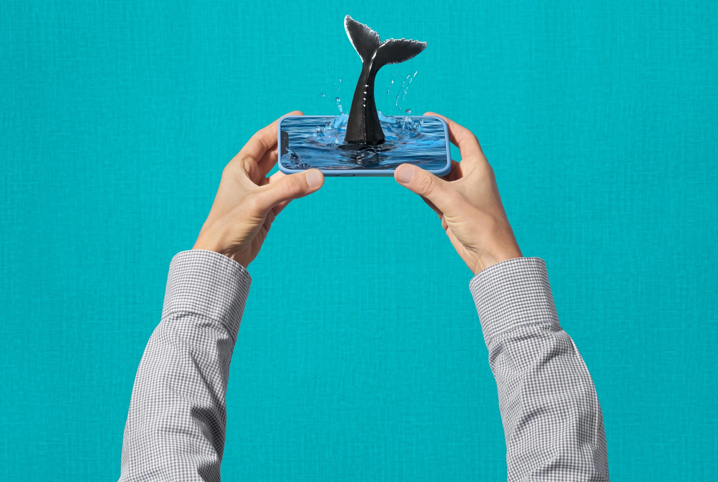 Whale-Time.jpg