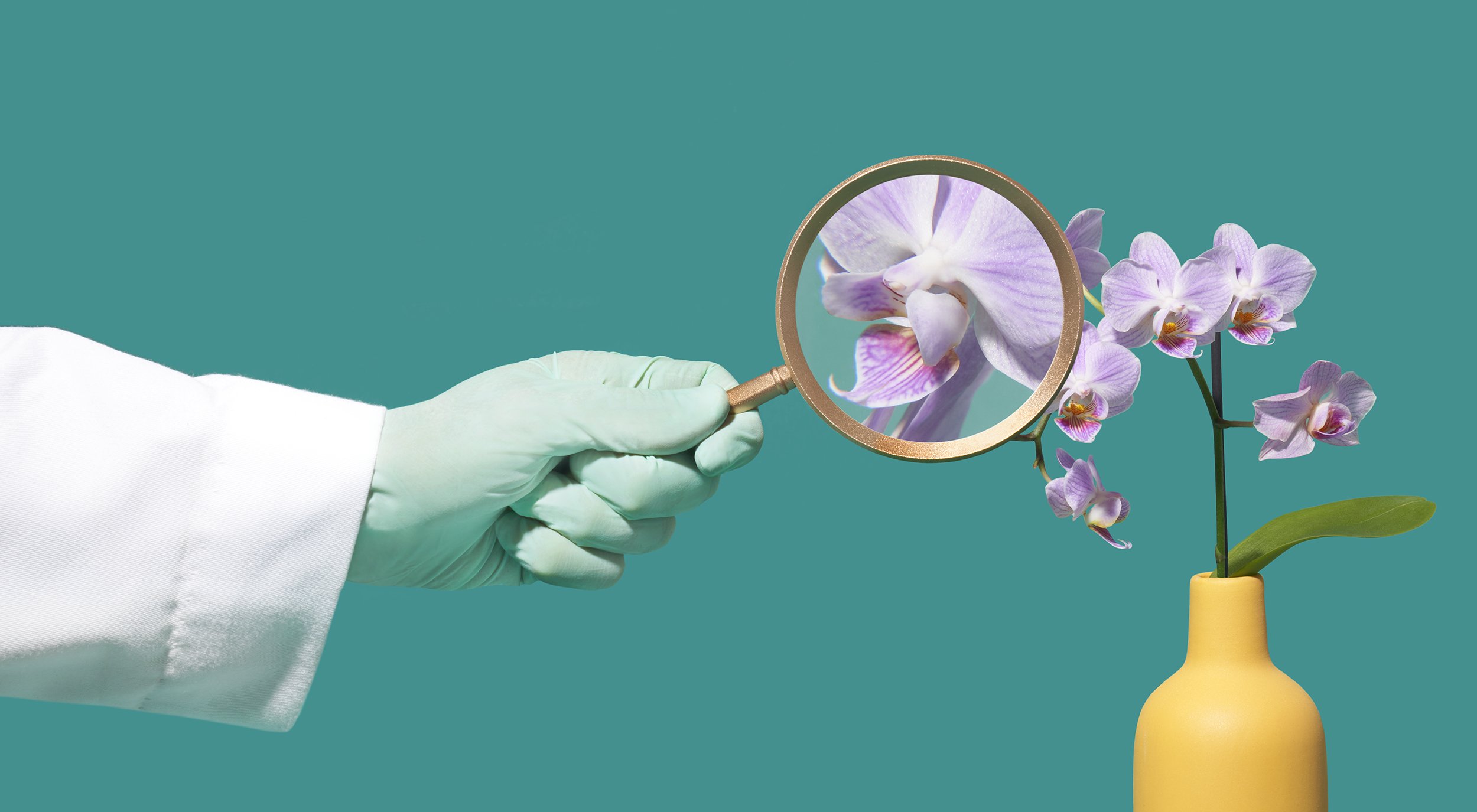 AARP-GYNO.jpg
