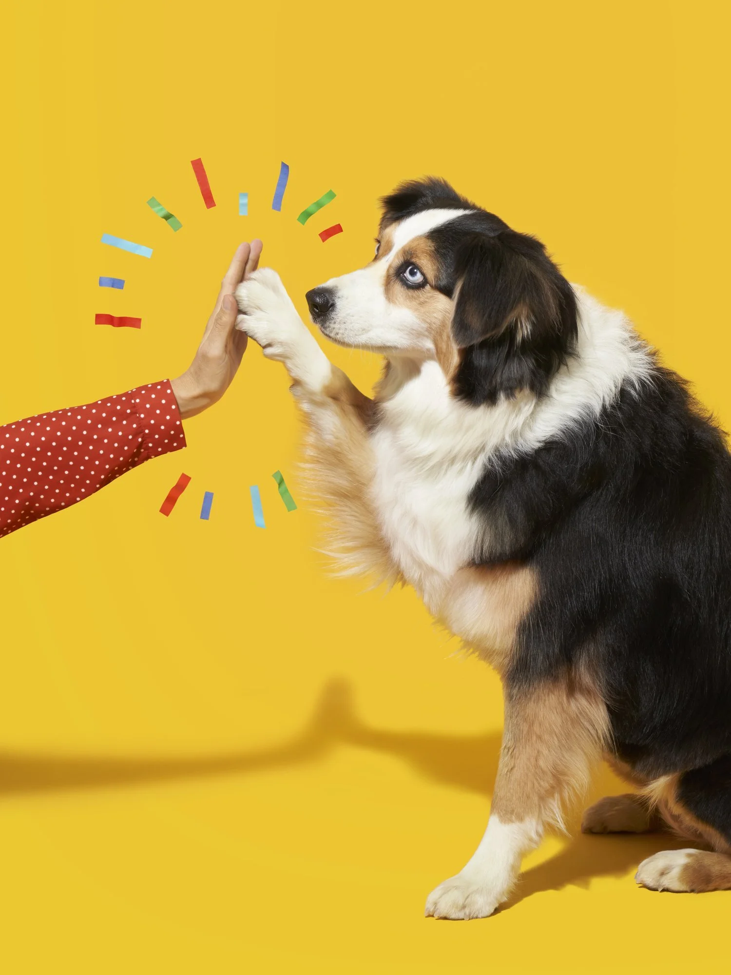 HighFive.jpg