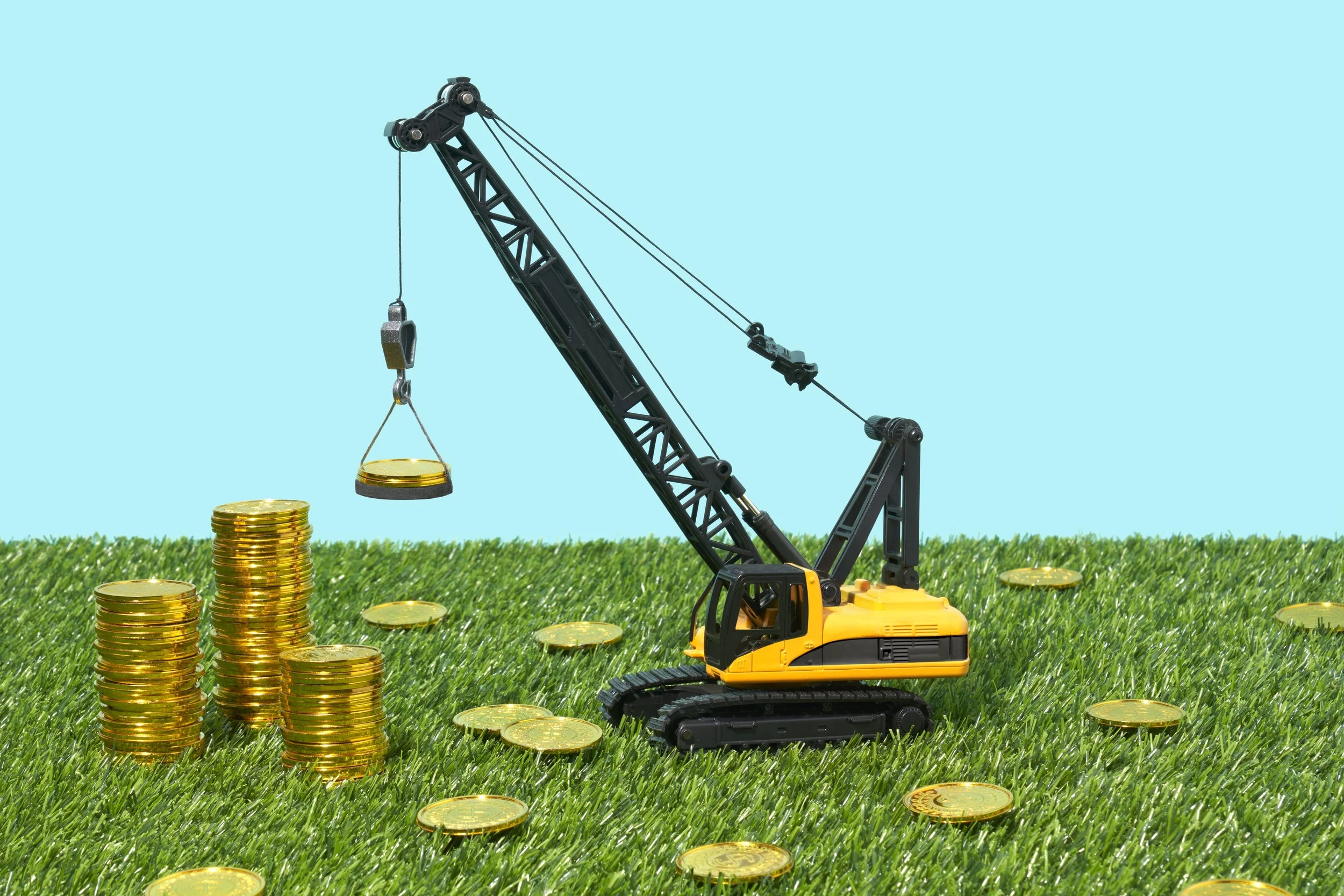 AARP_Crane.jpg