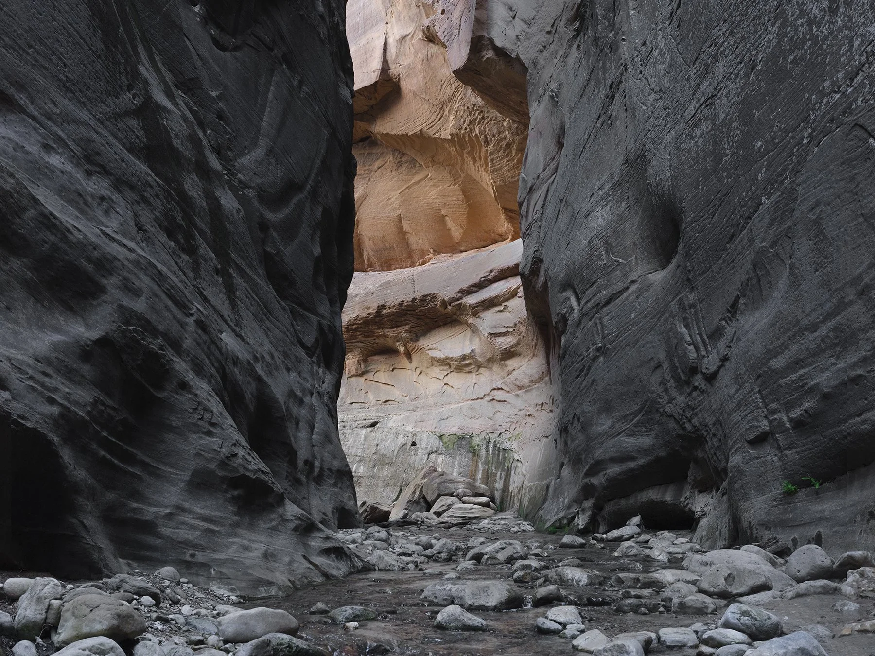  Corridor, 2025 