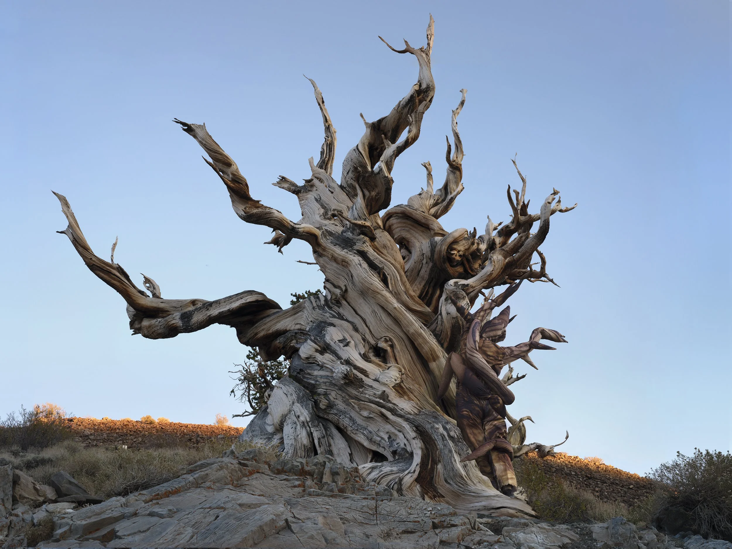  Methuselah, 2025 