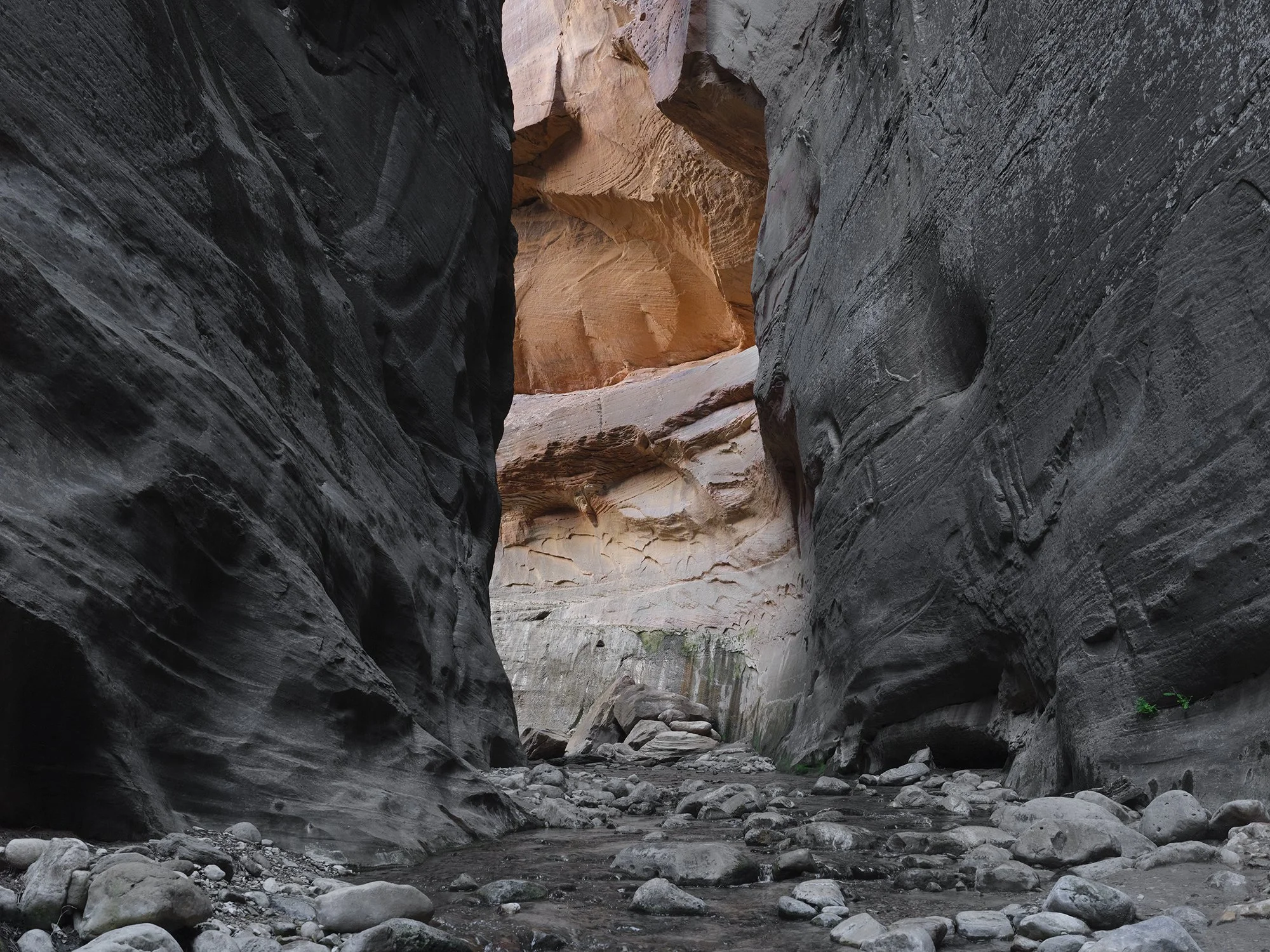  Corridor, 2025 