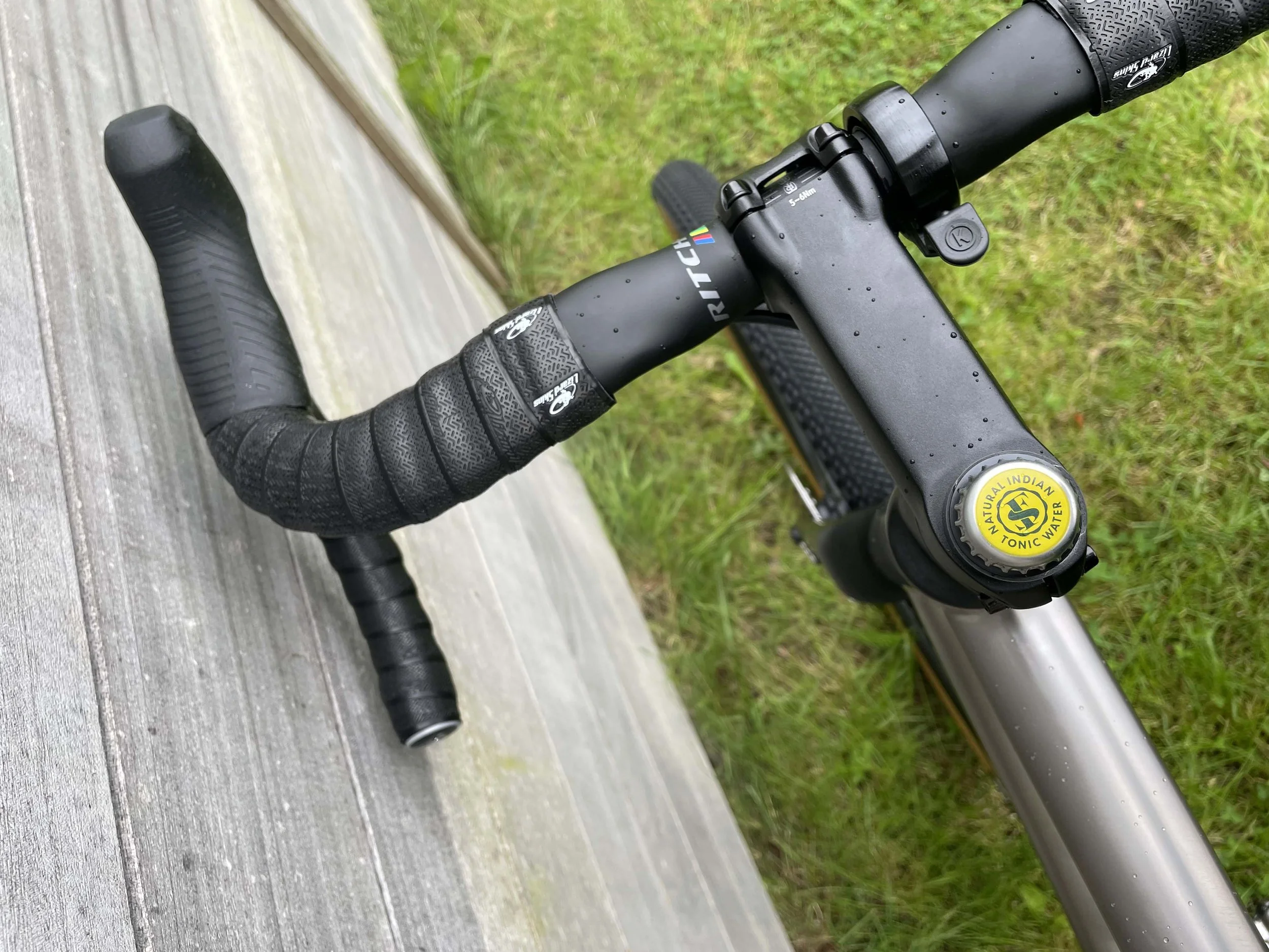 tigra walter 12.jpeg