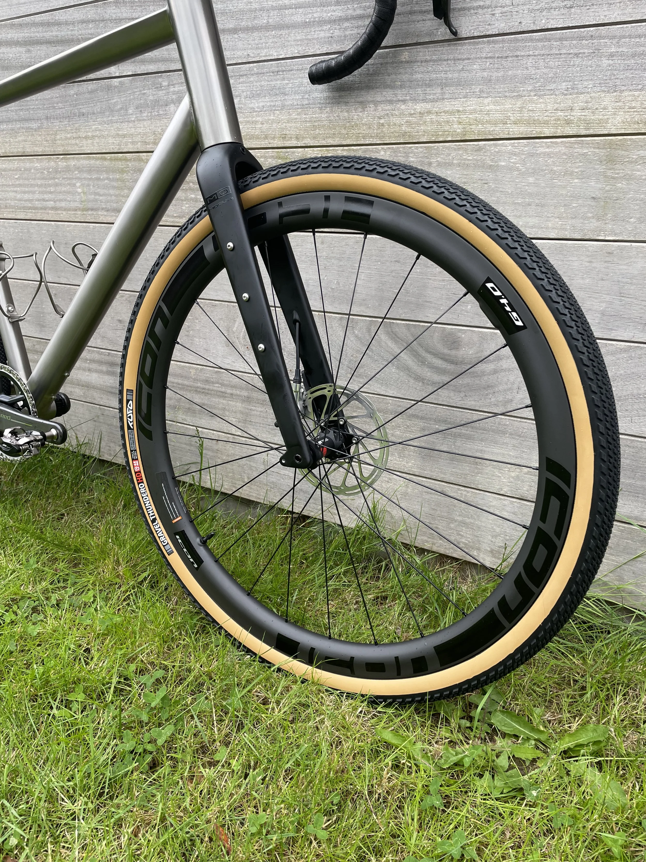 tigra walter 15.jpeg