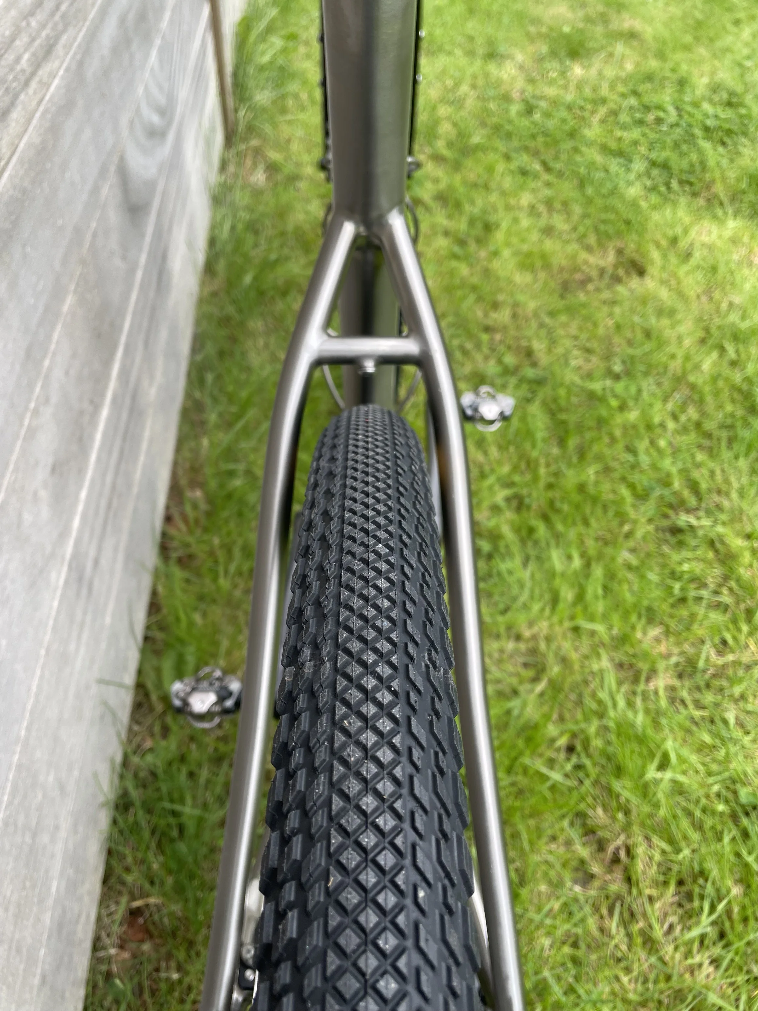 tigra walter 21.jpeg