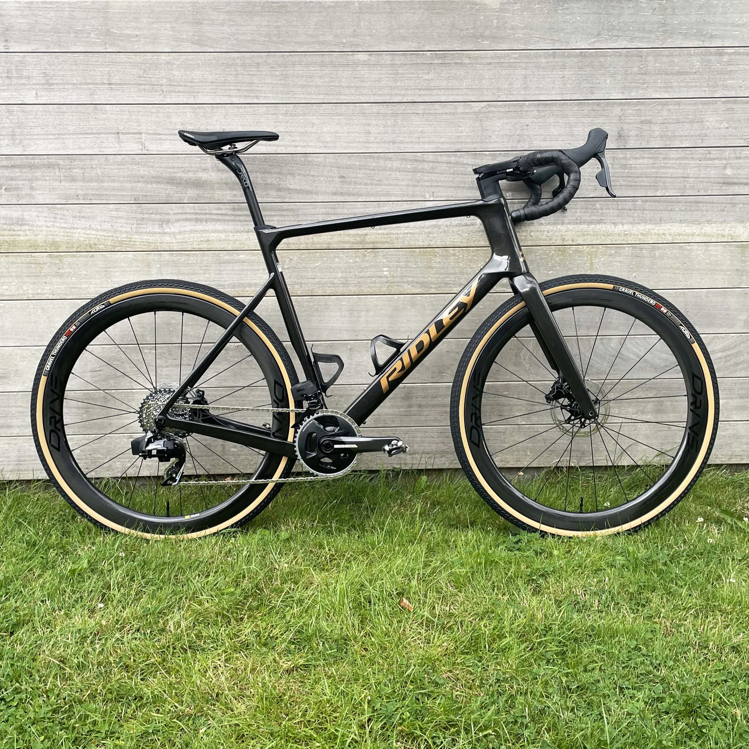 ridley astr david I 1.jpeg