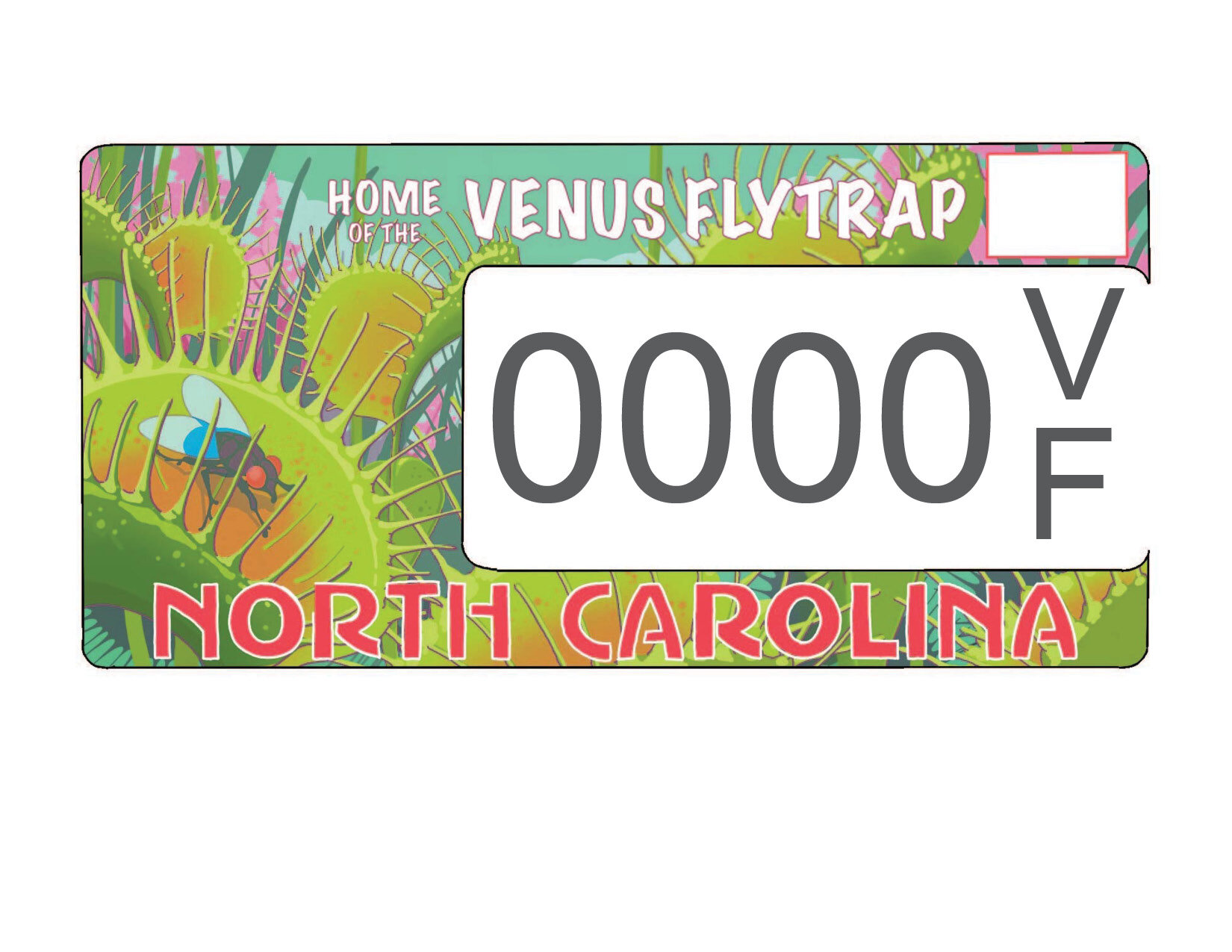 Home of the Venus Fly Trap