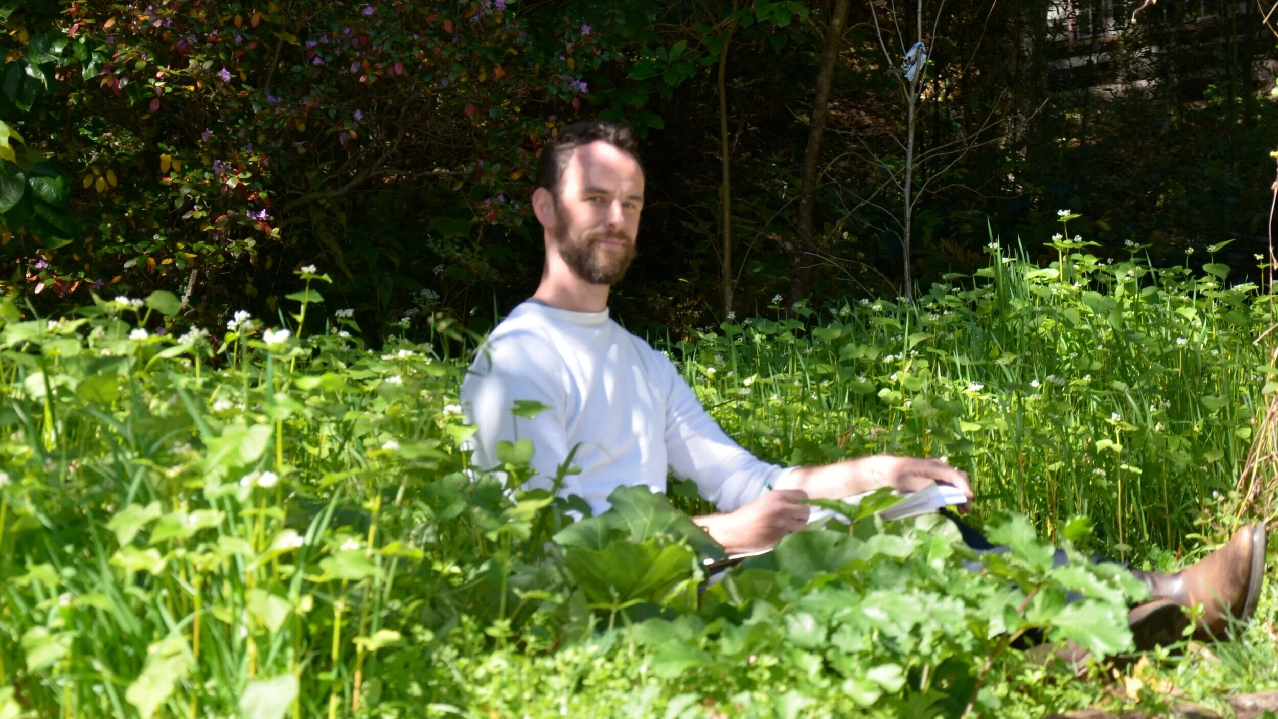 Venus Flytrap License Plate — Preston Montague | Landscape Architect
