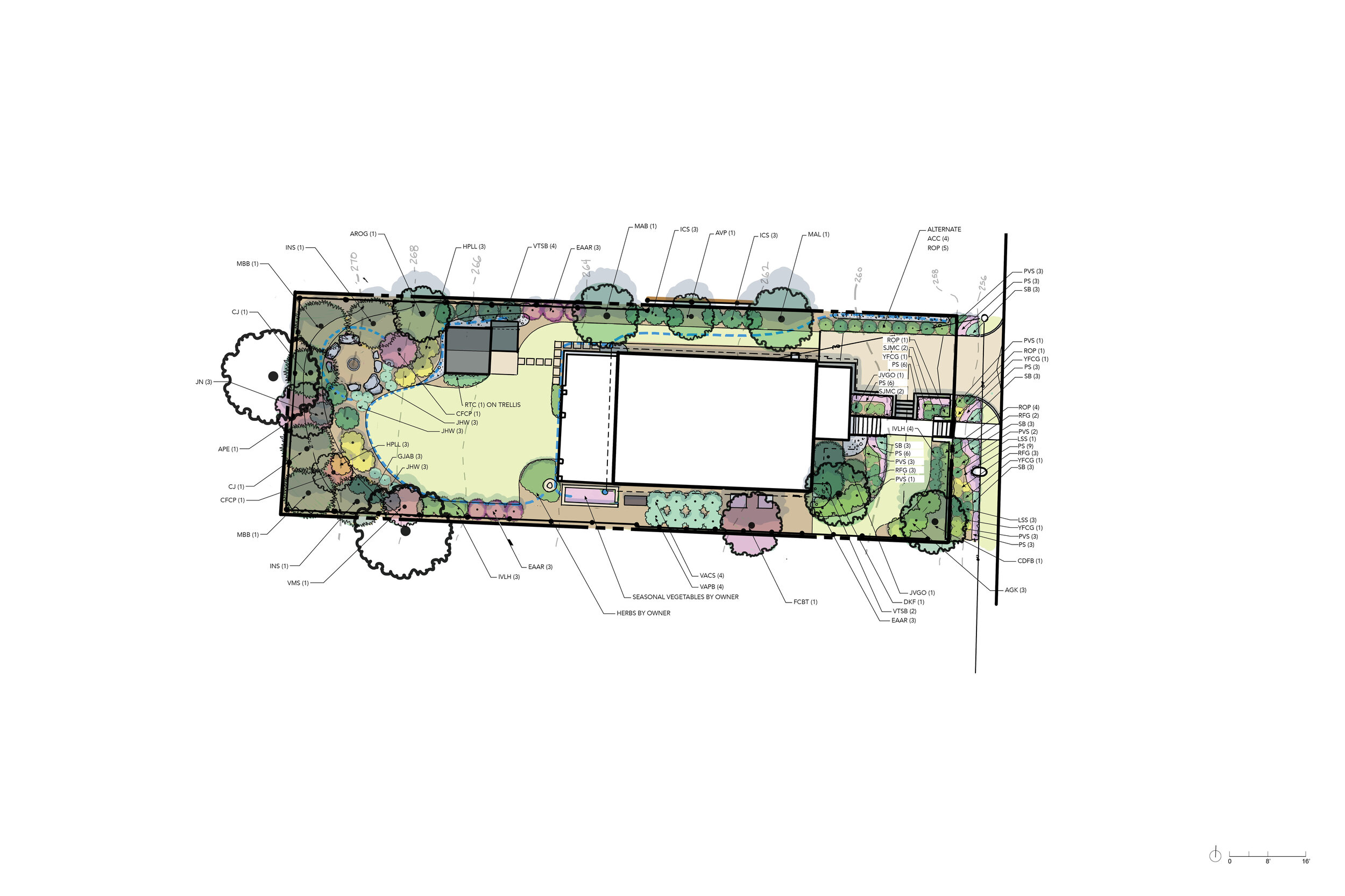 Freeman_Schematic_LandscapeDesignFORWEBSITE3.jpg