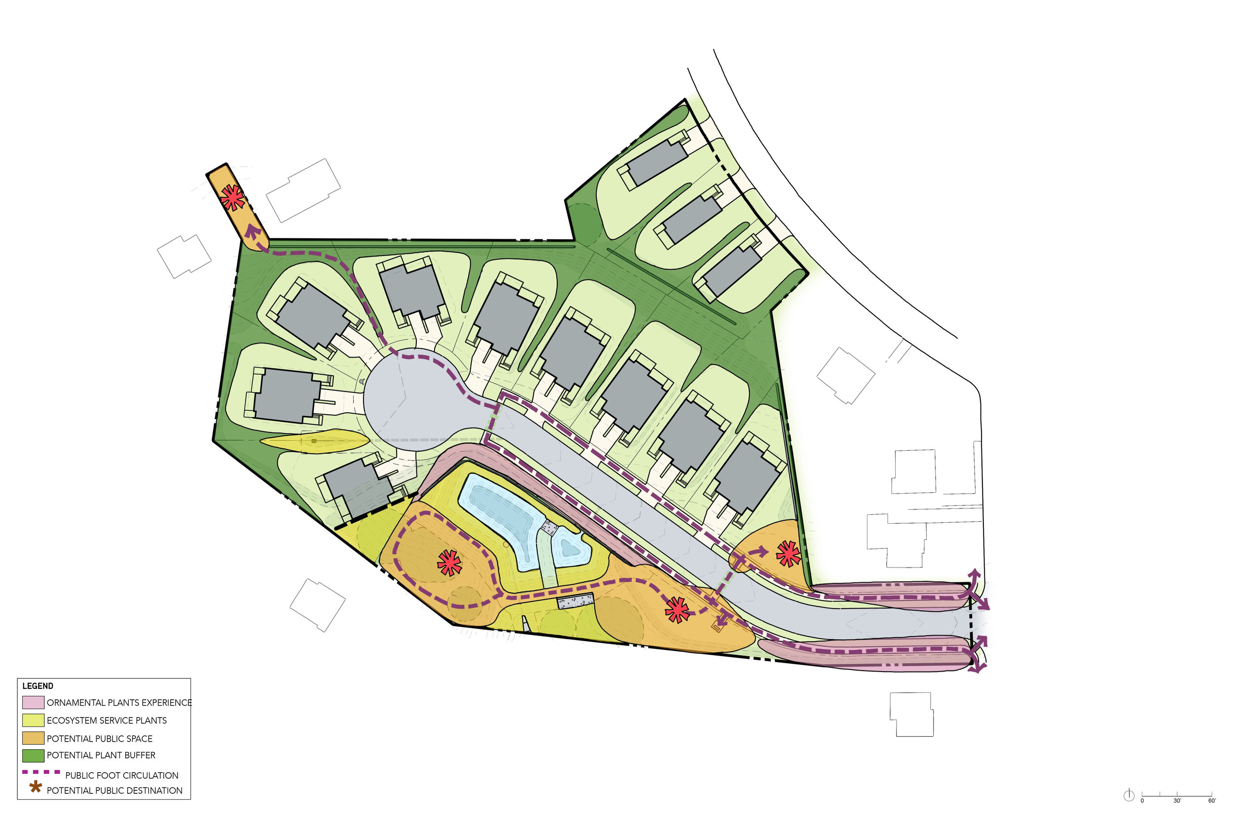  Diagramming exercise to locate optimal sites for community amenities as well as a vegetation strategy for reducing lawn and boosting screening for a sense of privacy between homes.  