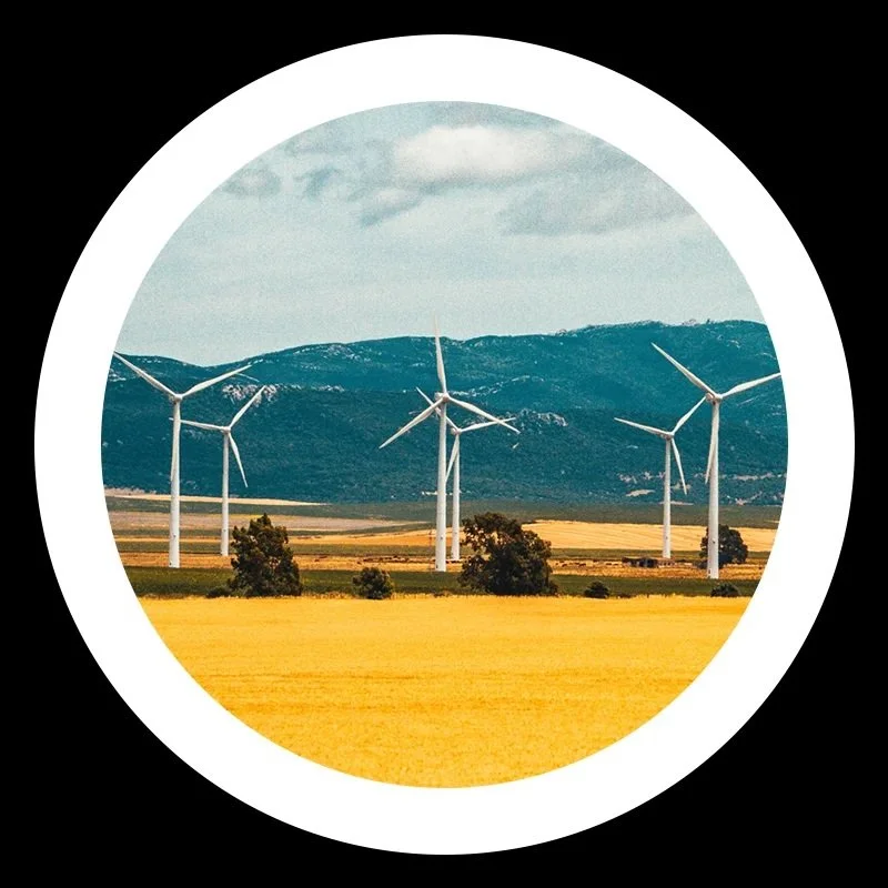 Canary News Article Interview with Yulizza Henao-Barragan