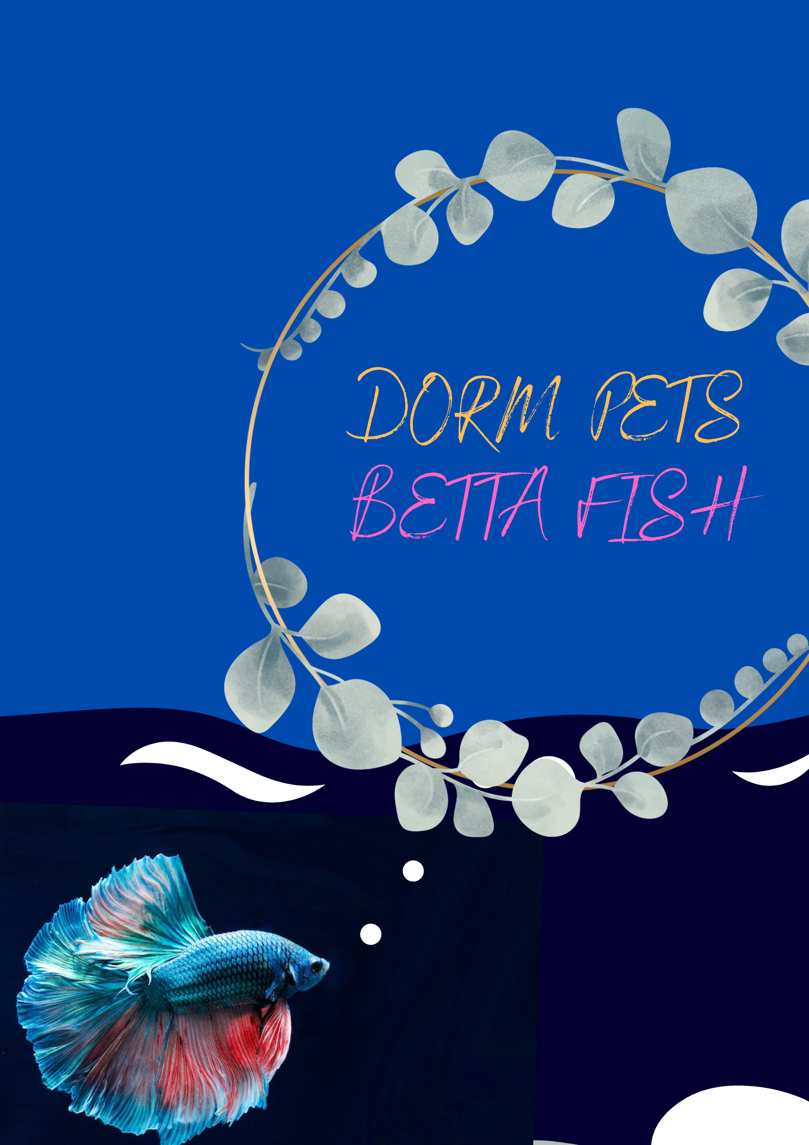 Dorm pets Betta fish — Pacer Times