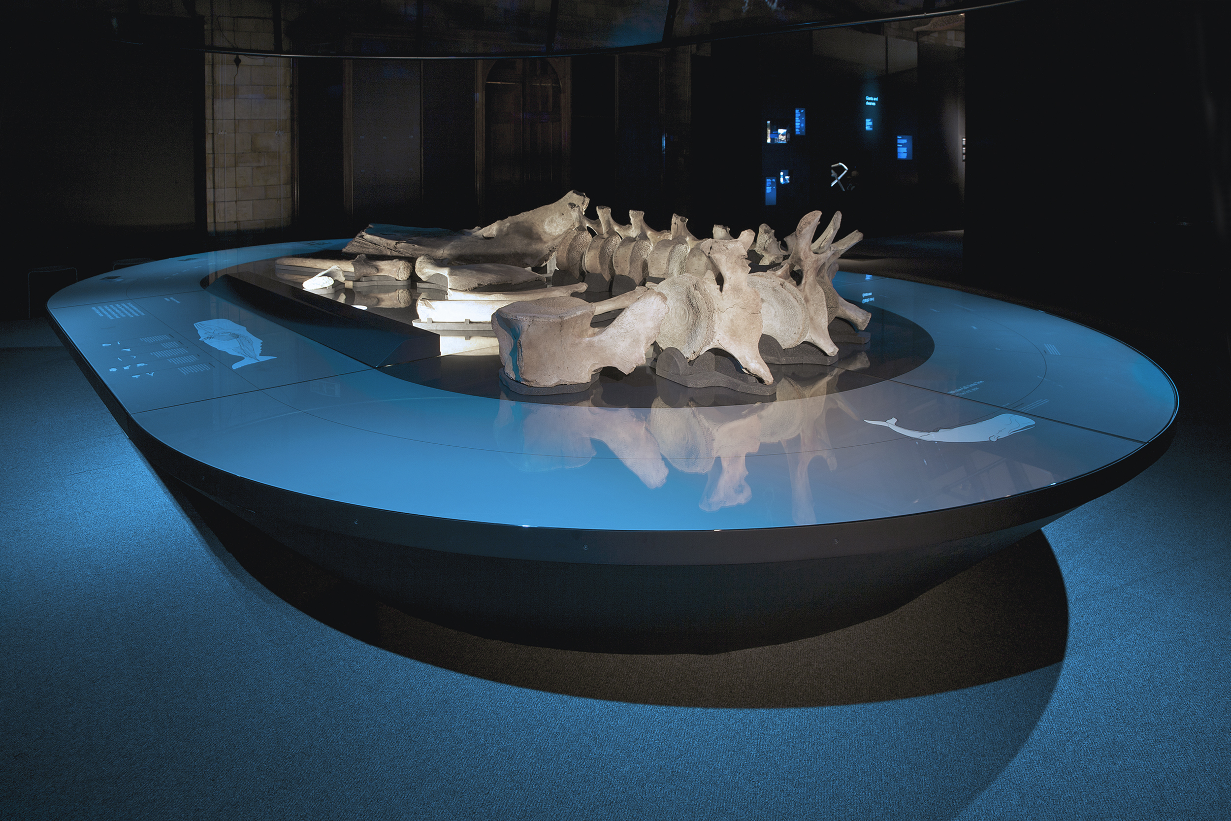  The Deep, Natural History Museum, Universal Design Studio / Bibliothèque 