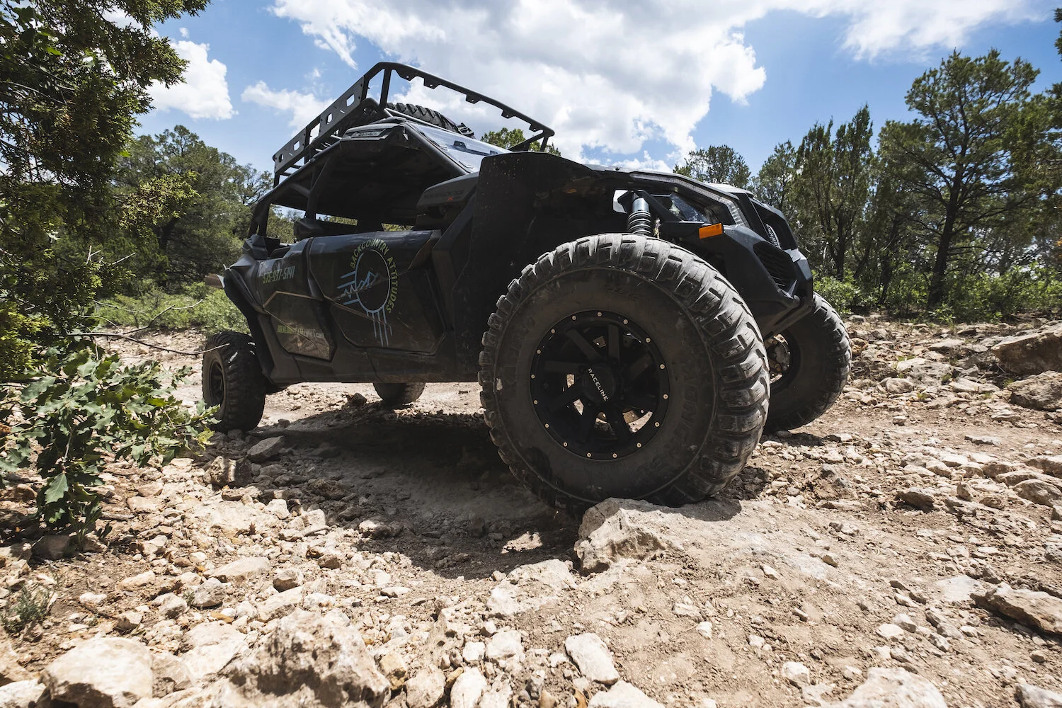 let's buggy tours & rentals