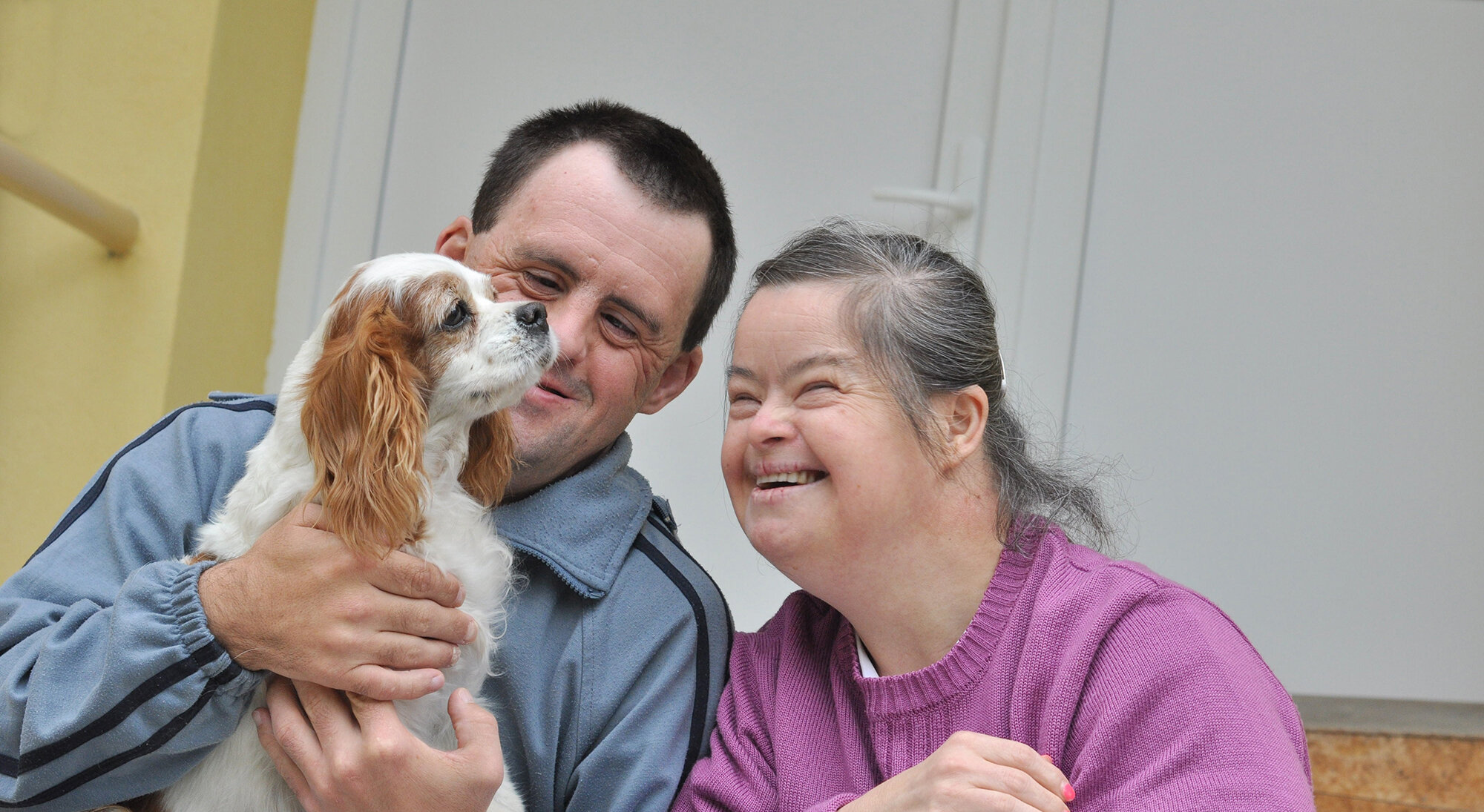 cocker spaniel with down syndrome