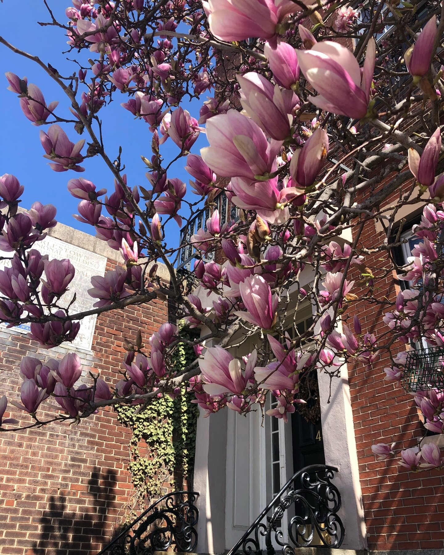 🌸 HAPPY 🌷SPRING 🌸
The first few months of the year are always so busy for us that we are more reactive than proactive. We look forward to spending more time in the next few months developing stronger relationships with ALL clients and partners!