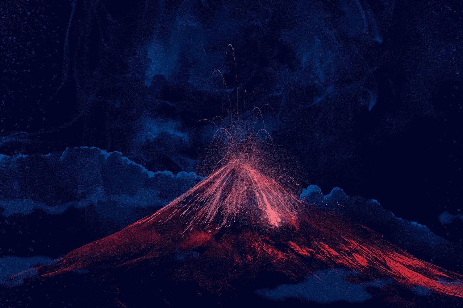 IN BLOOM - 01/07 - Online Mentorship Programme