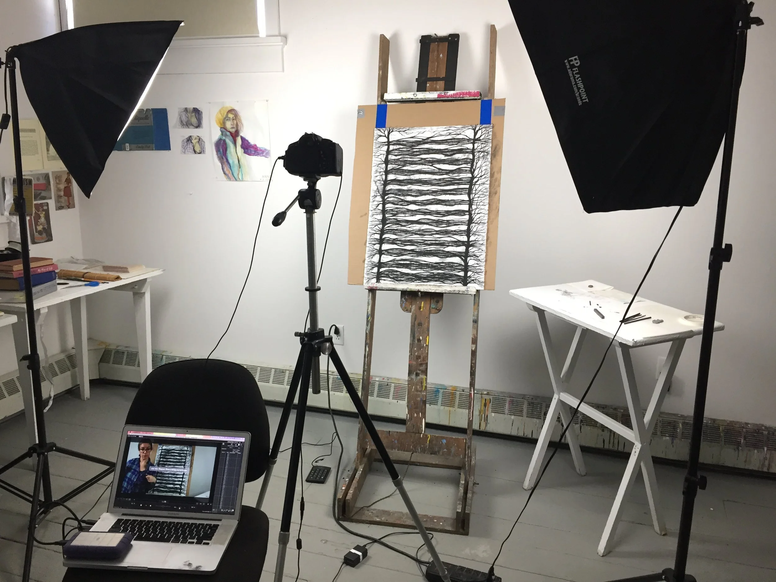 Anne's animation setup at Yaddo (2018)