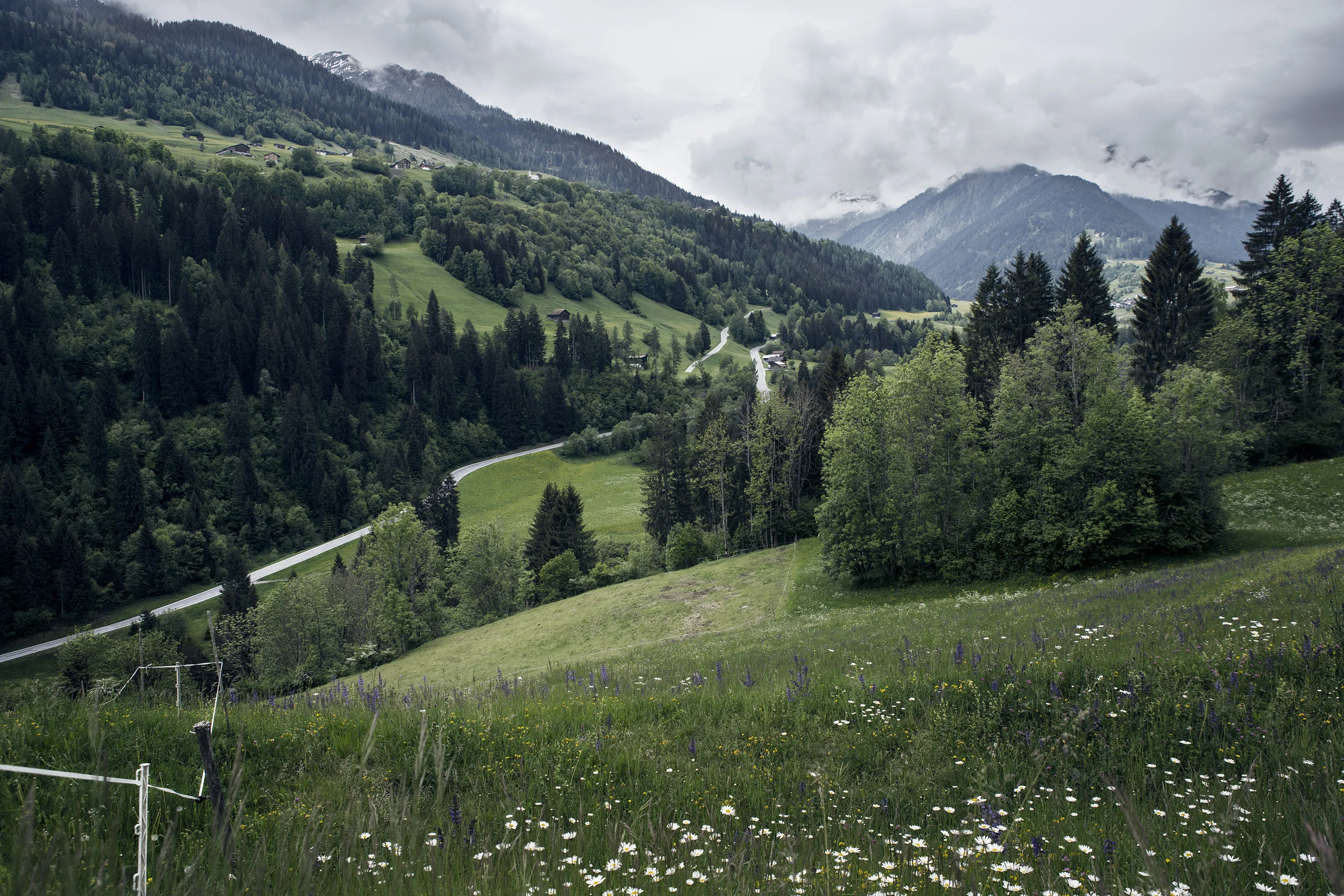 vals_web_04.jpg