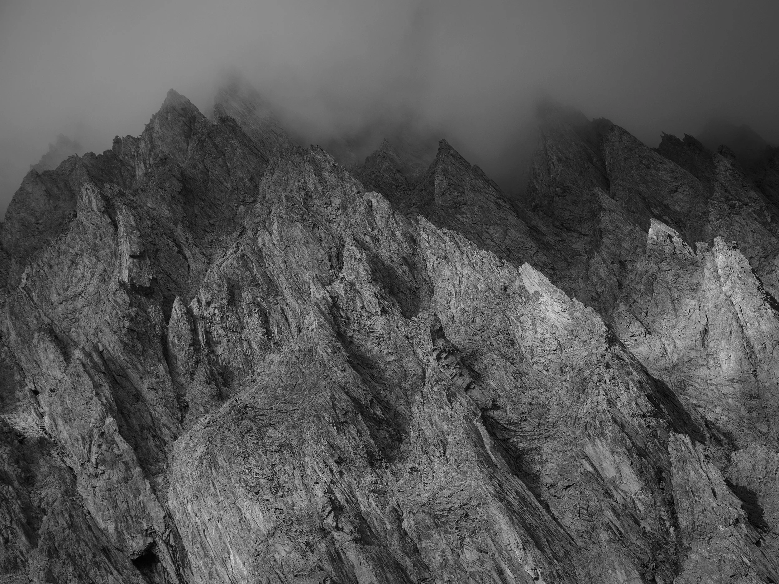 Wander_web_02.jpg