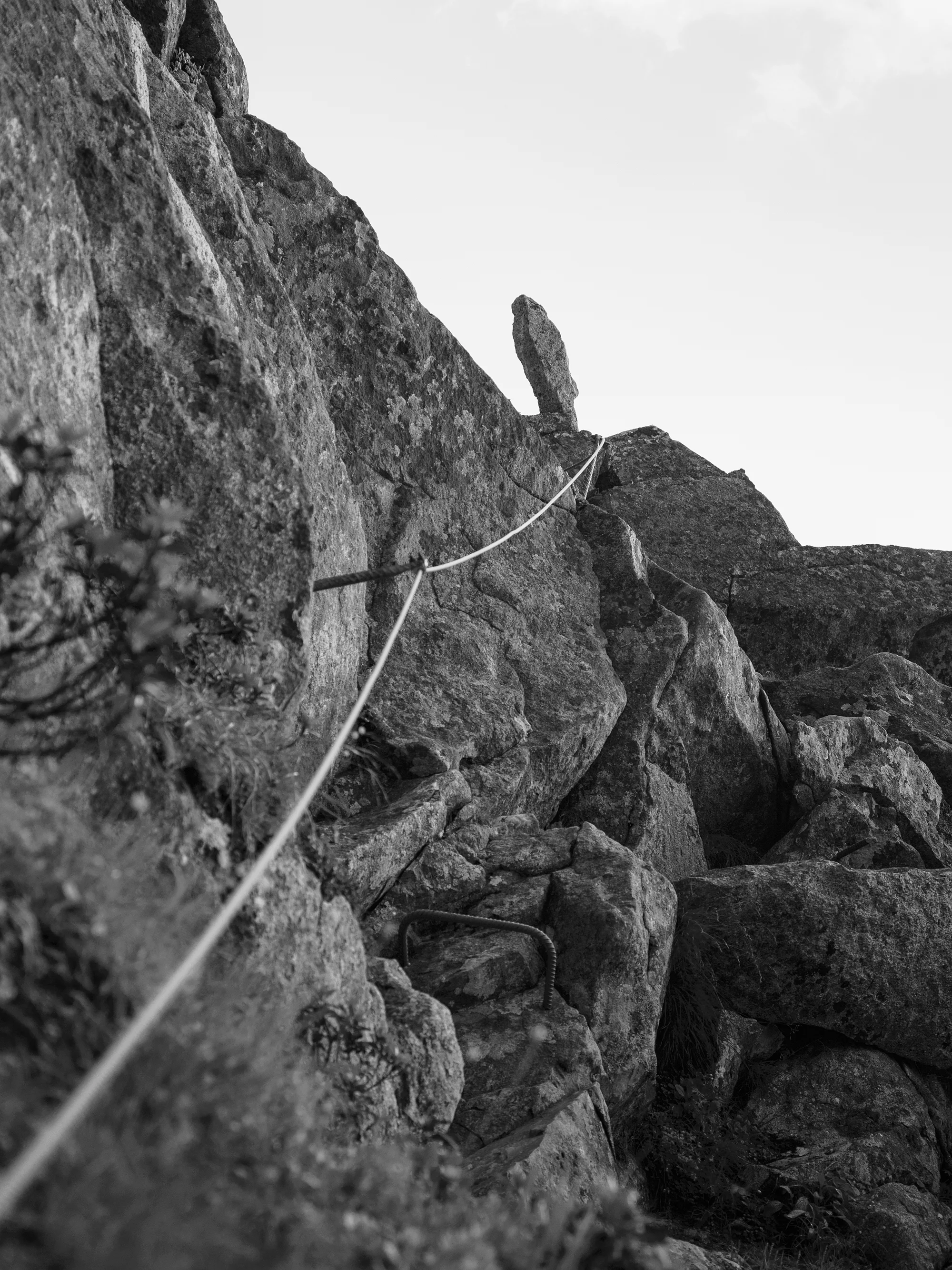 Wander_web_04.jpg
