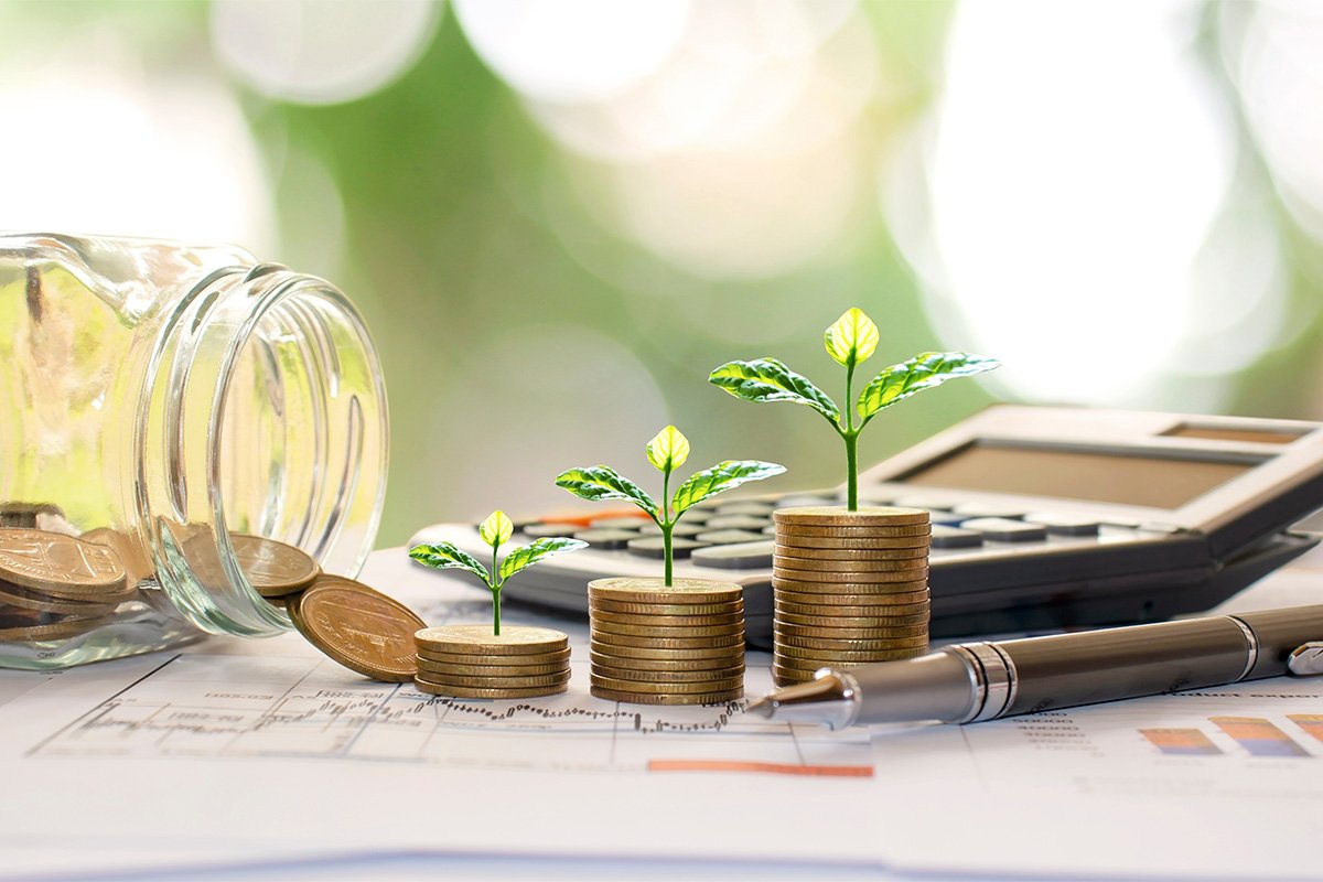 Guaranteed Returns: Understanding Share Certificates