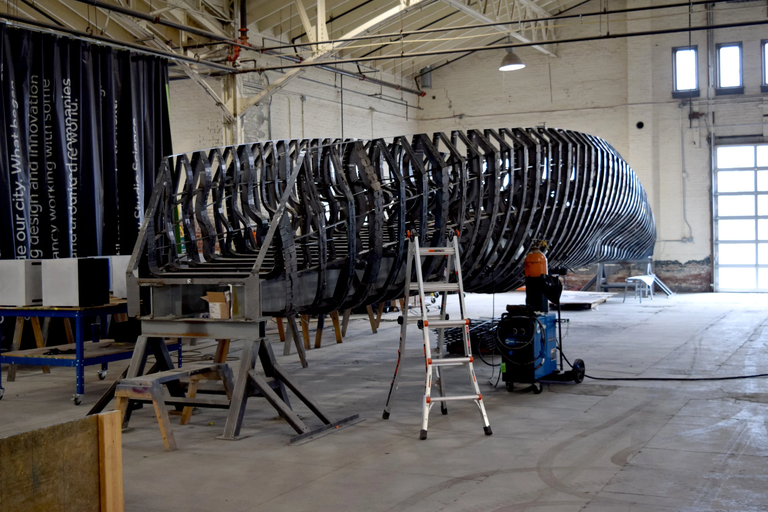 Copy of DSC_0329.JPG